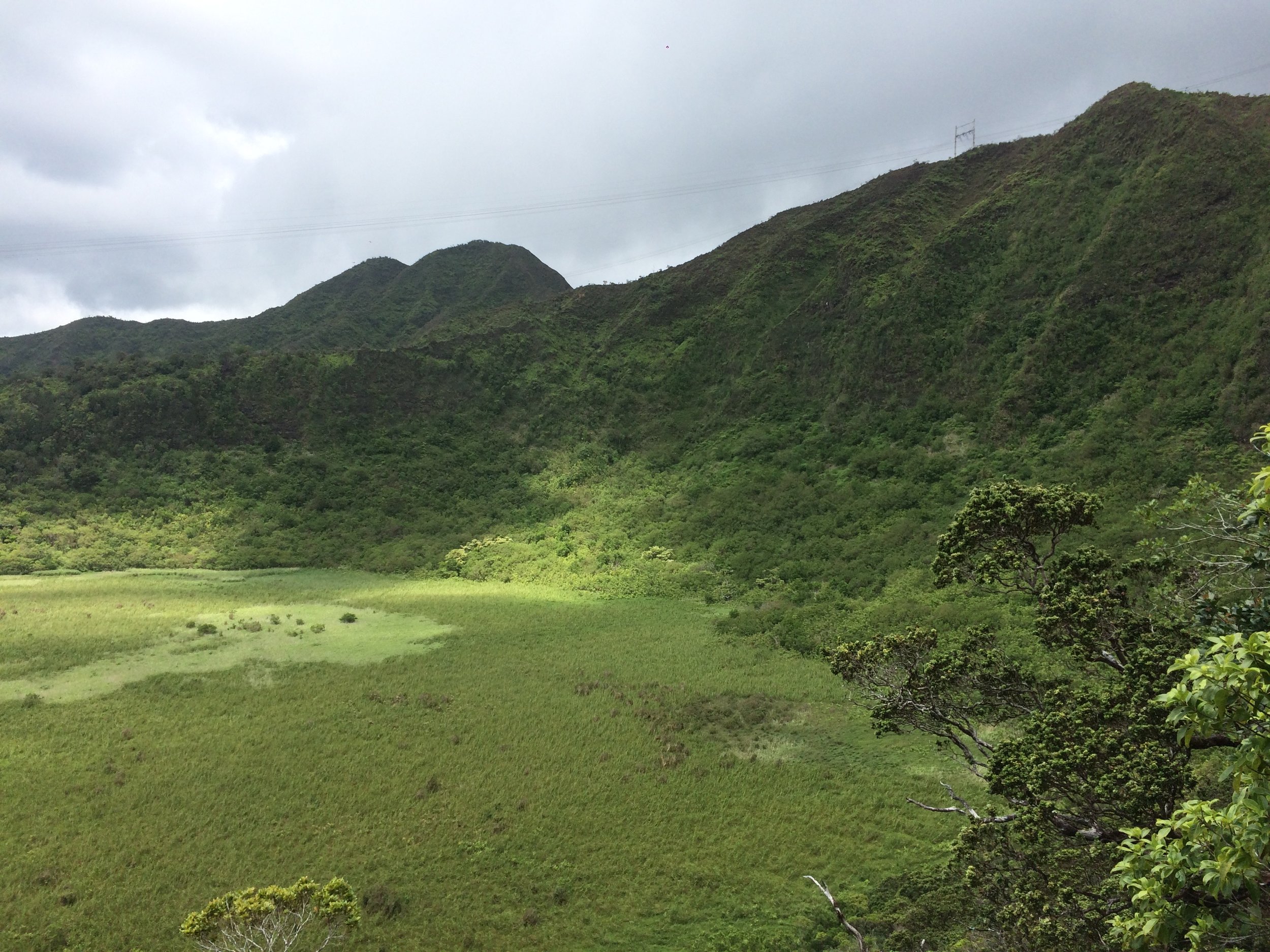 Kaau Crater Hiking