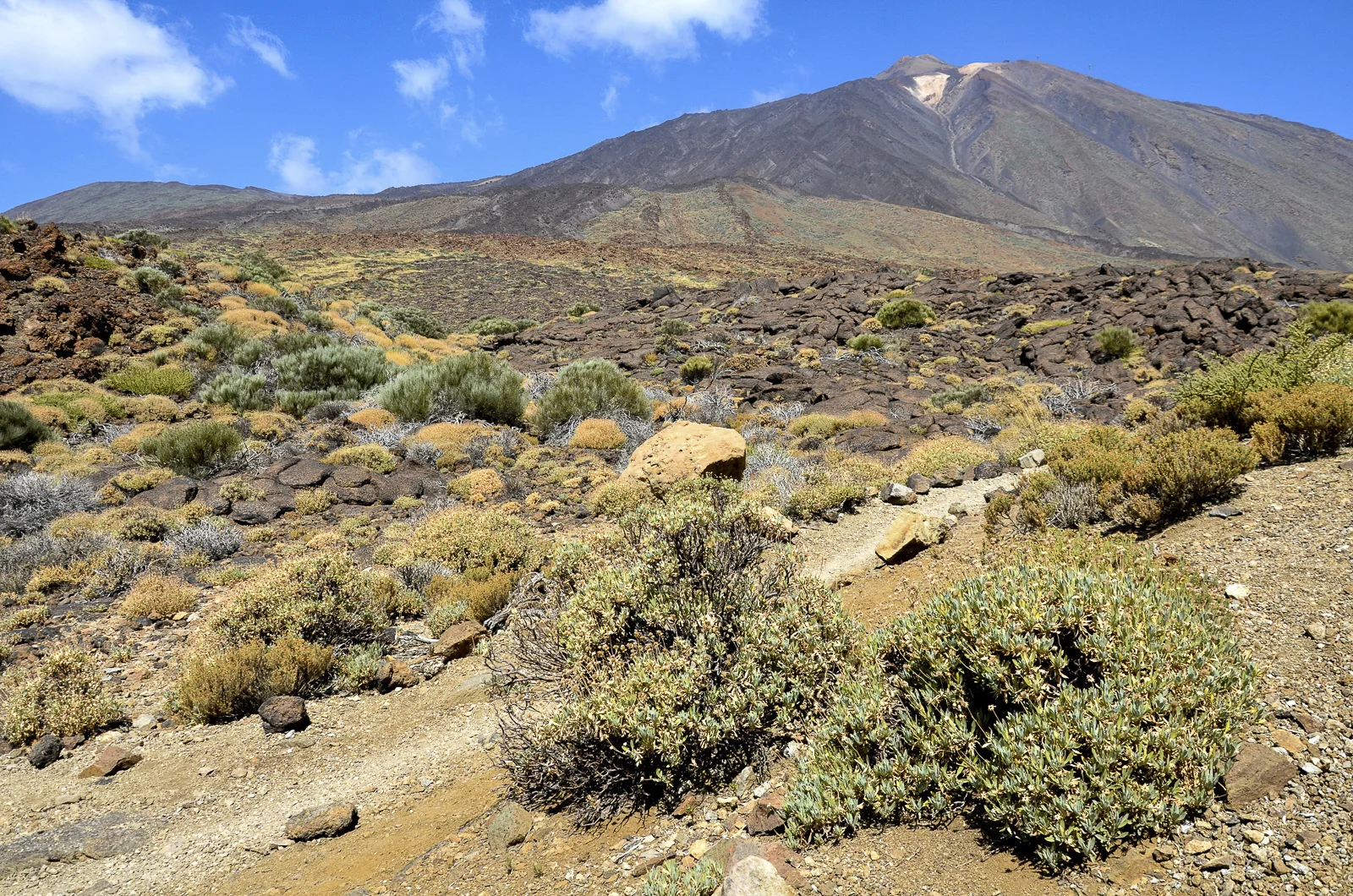Pico del Teide, point culminant d'Espagne (3 718m), Ténérife