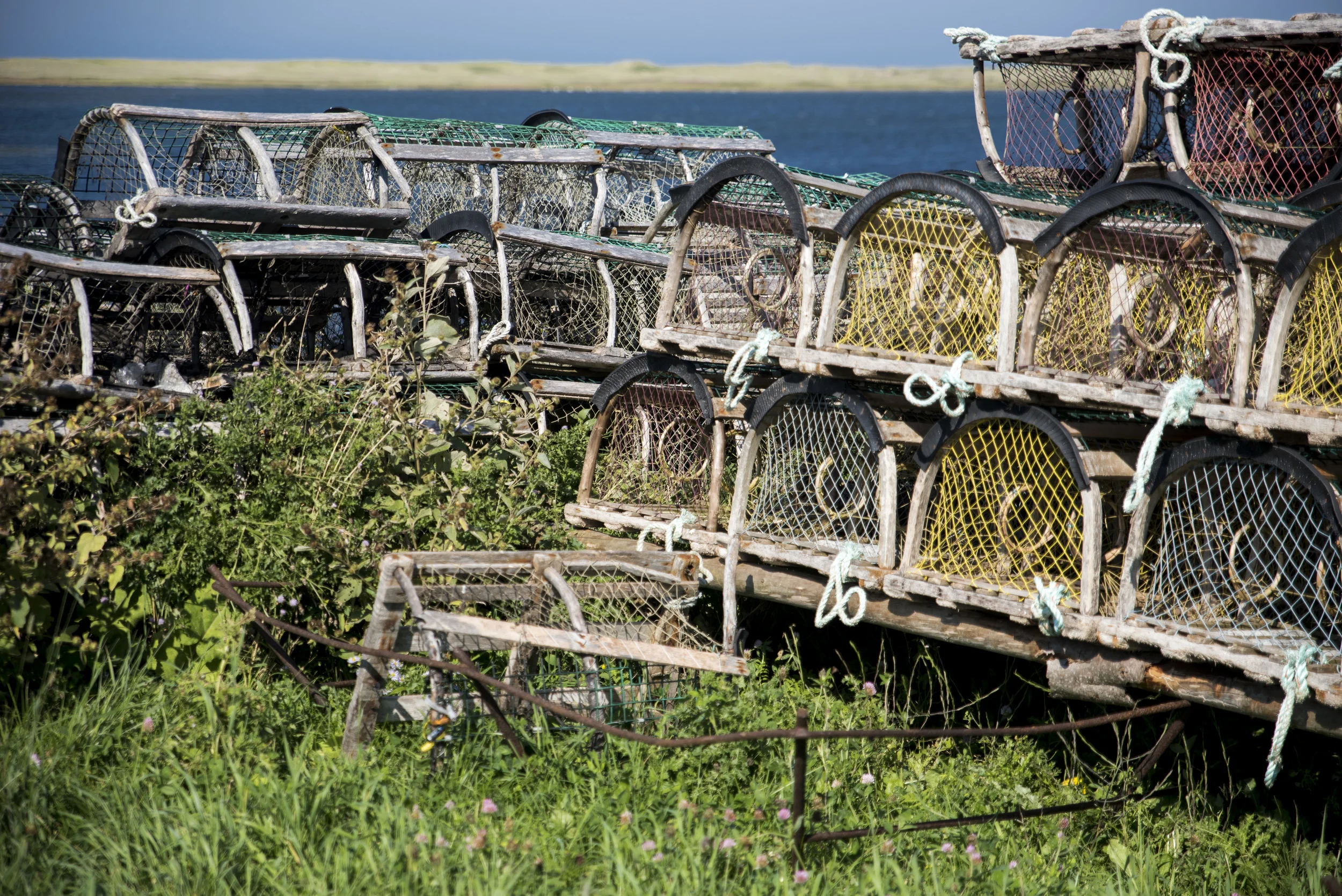 cages à homards, îles de la Madeleine