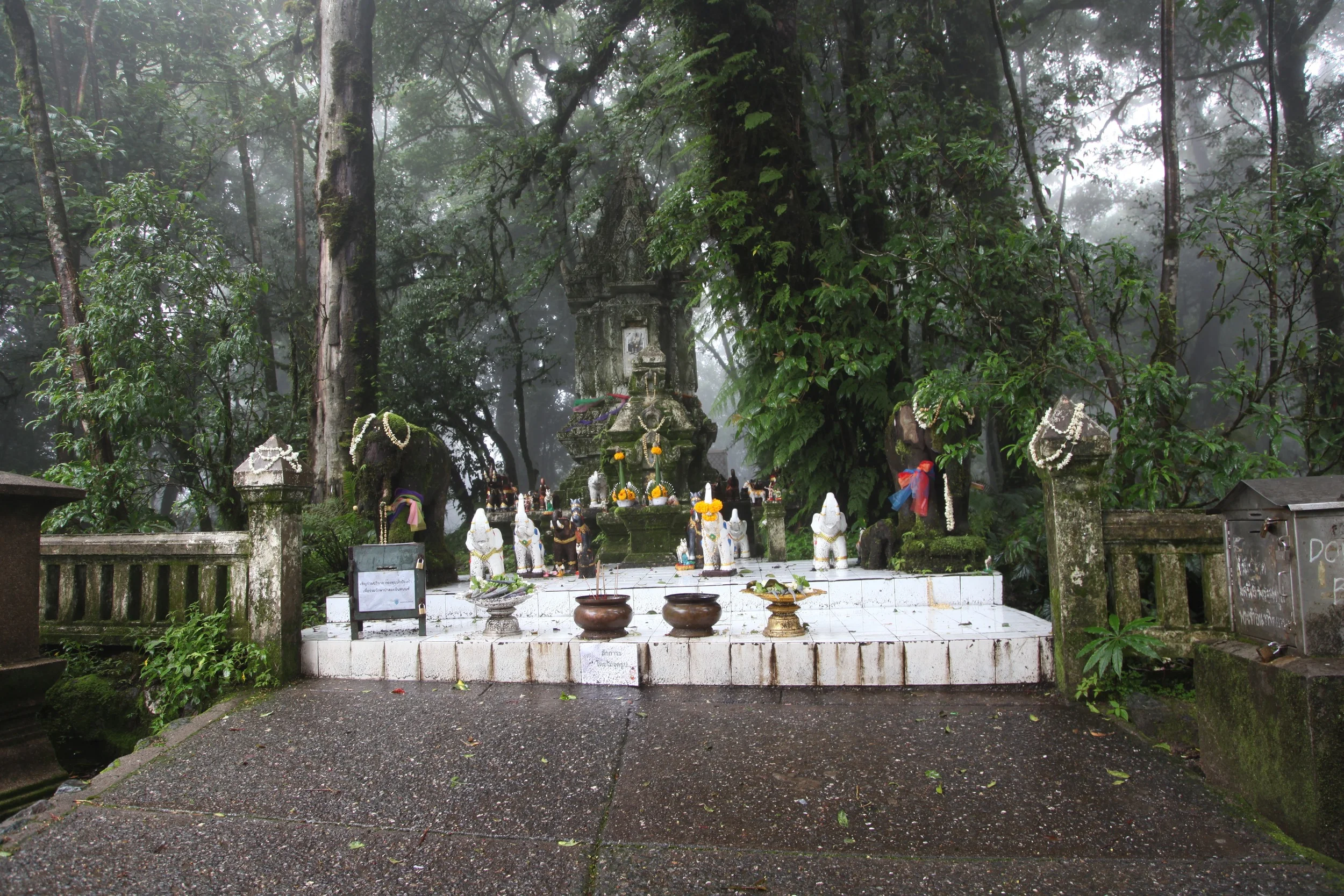 Ancient shrine in the middle of the forrest