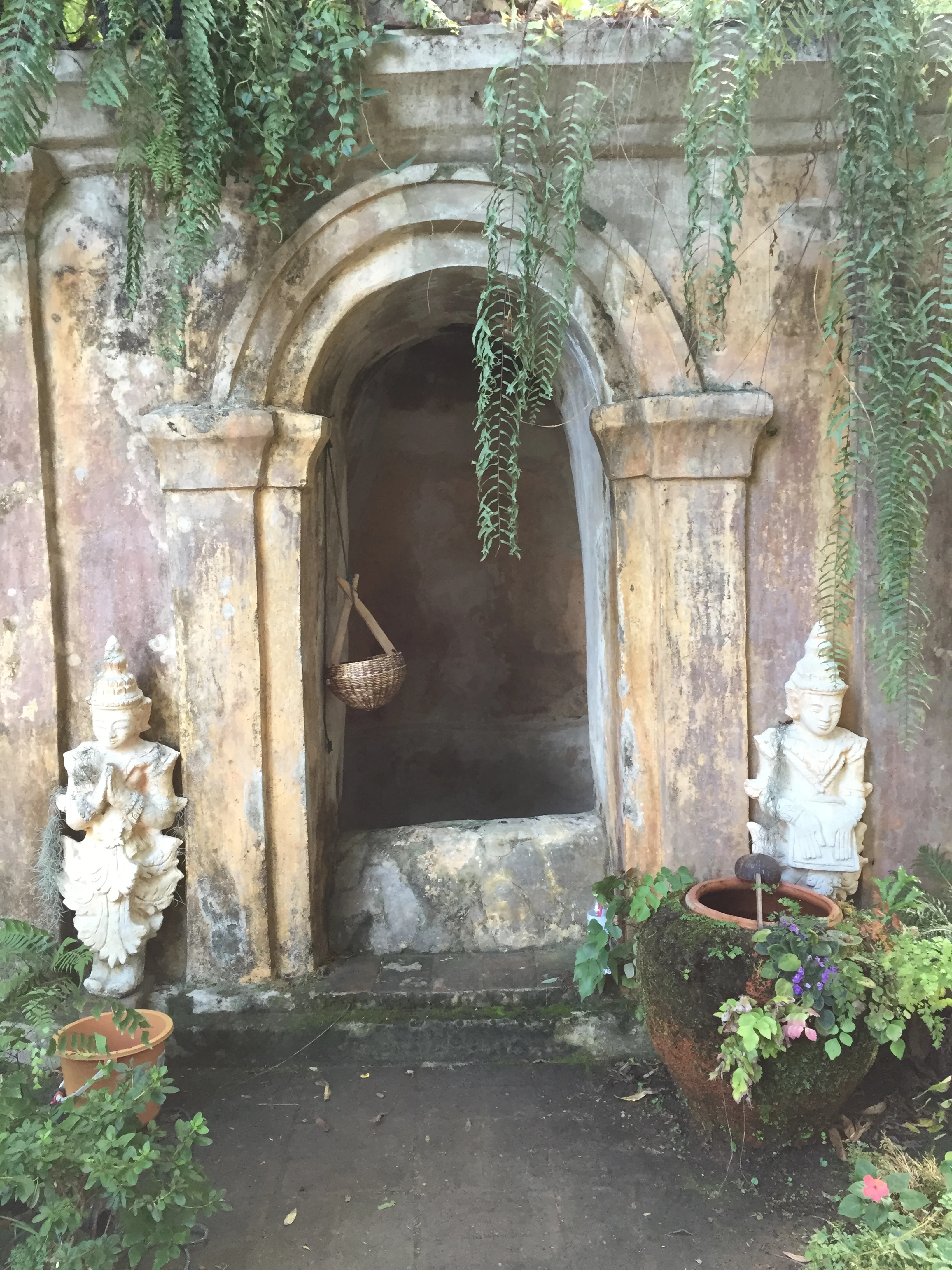500 year old well