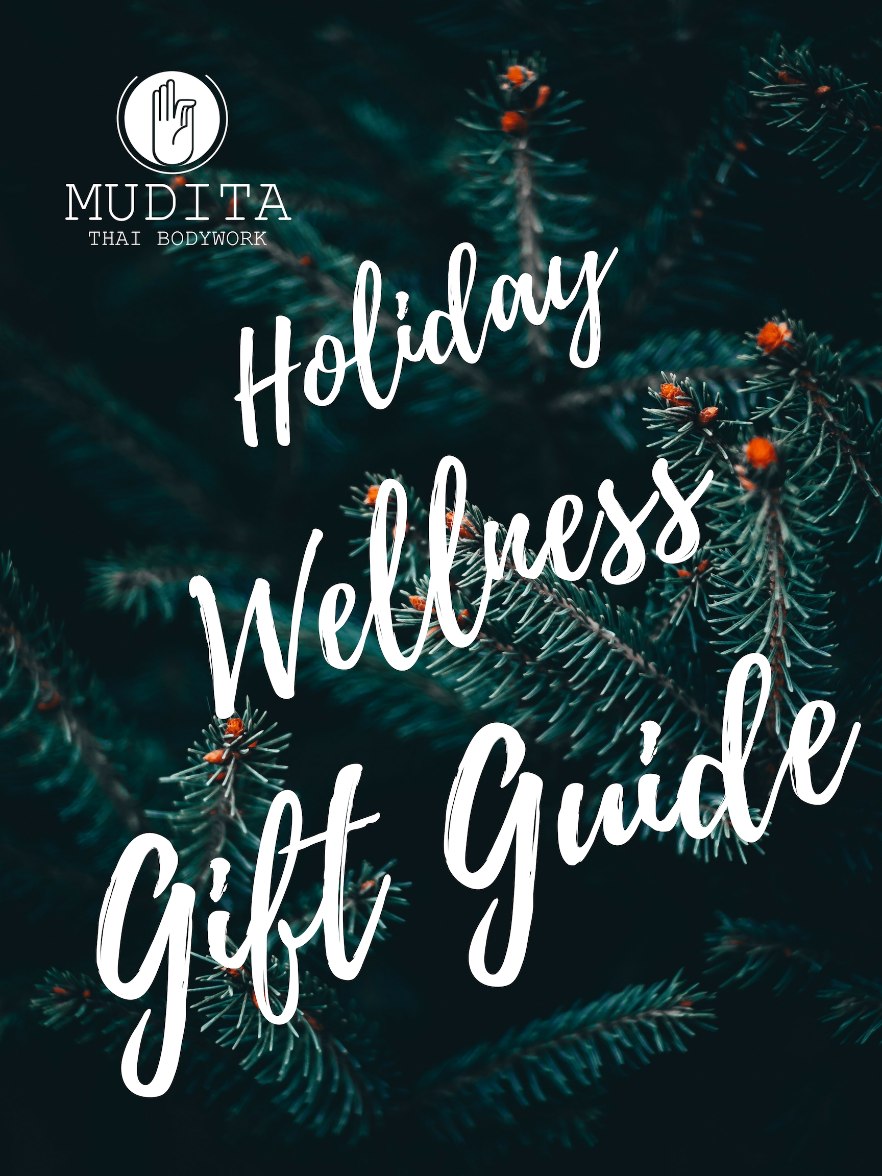 Holiday Gift Guide.png