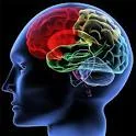 brainimage.jpg