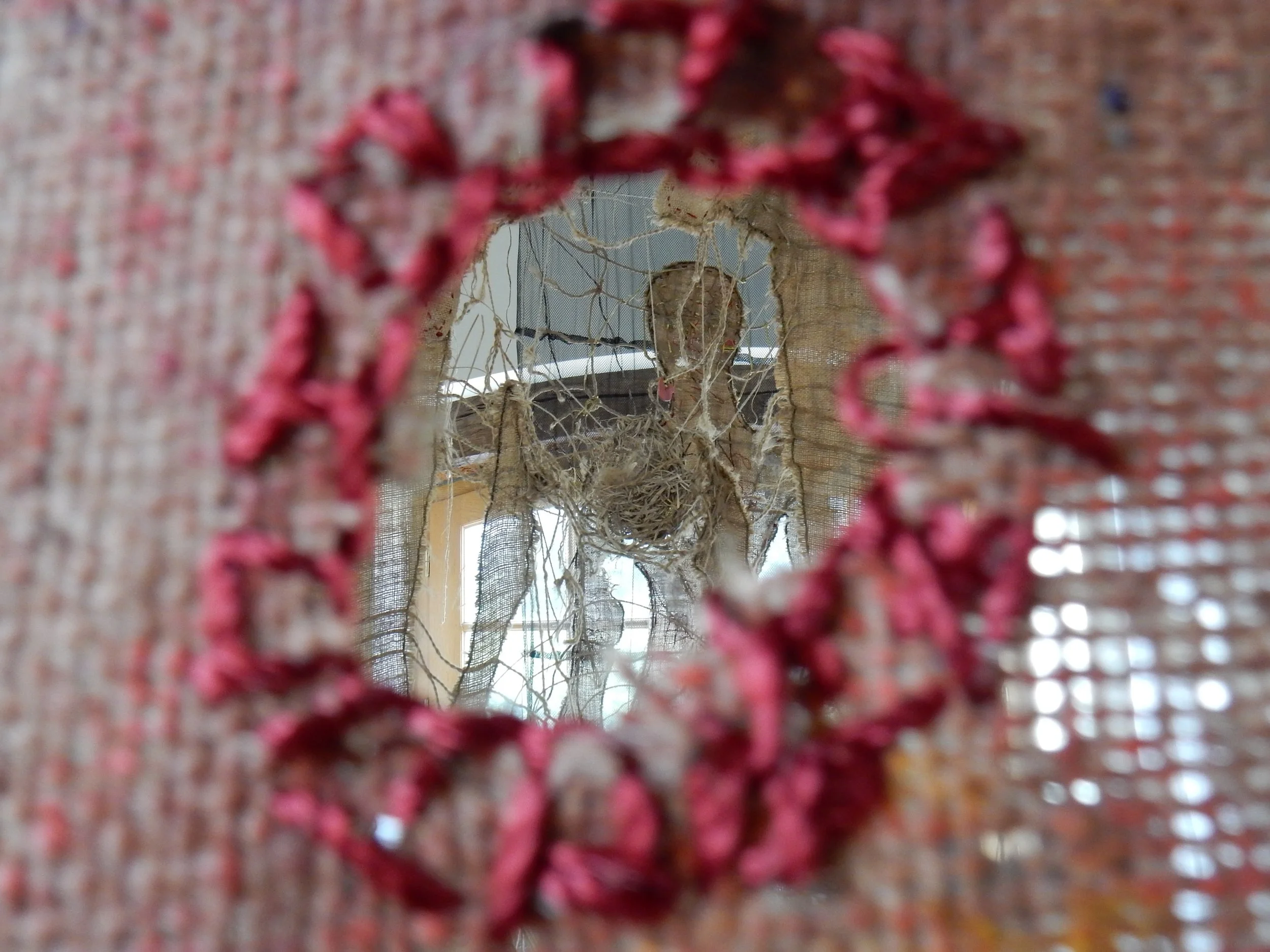 DSCN1616.jpg