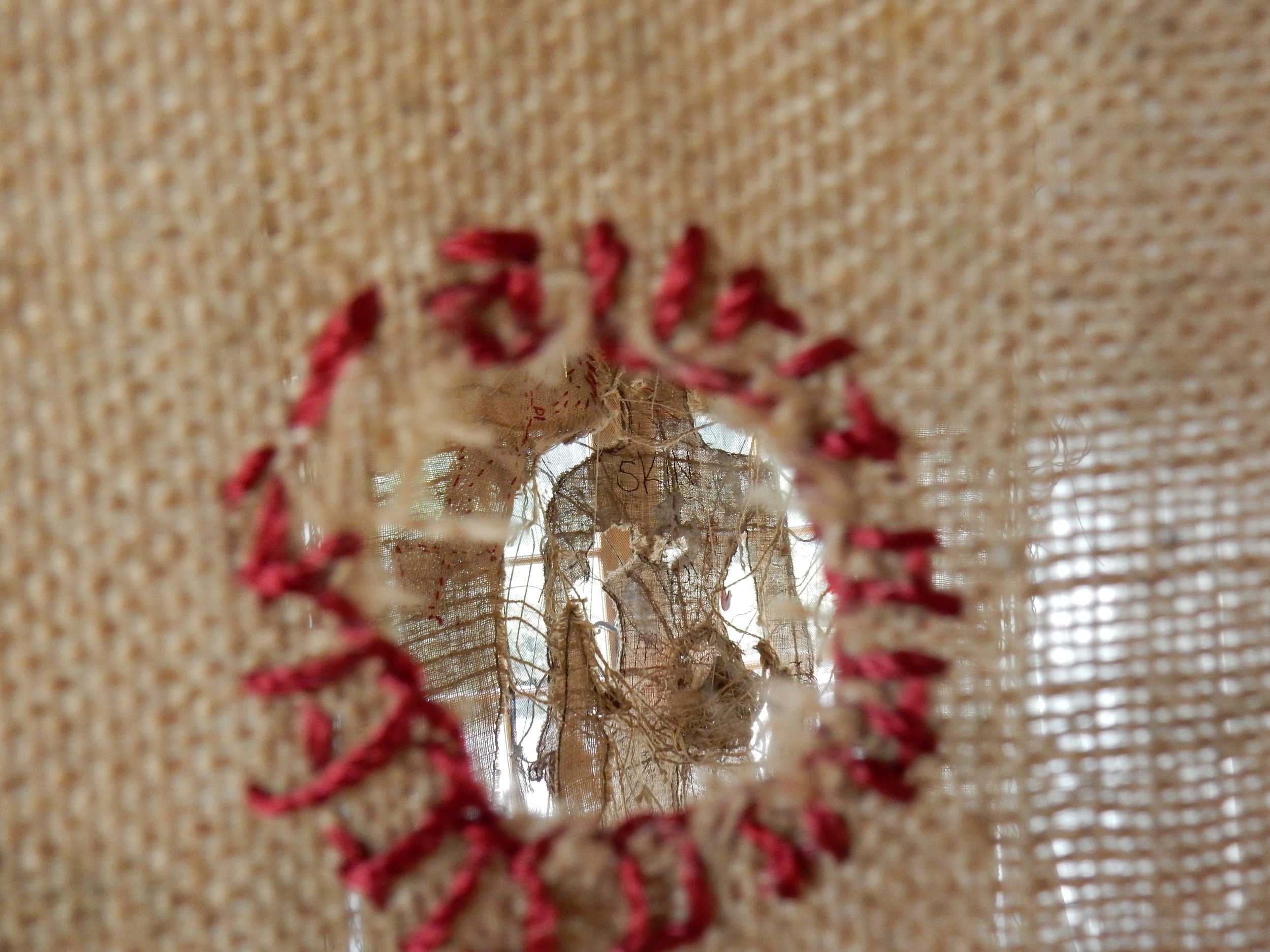 DSCN1617.jpg