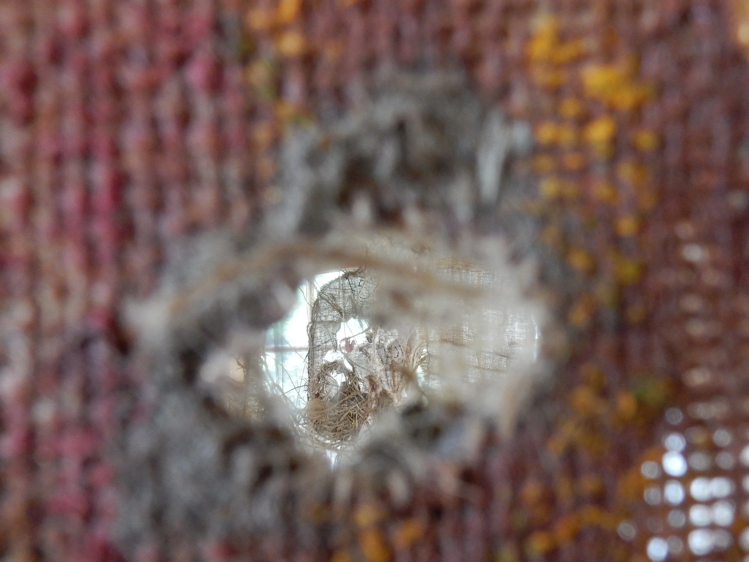DSCN1618.jpg