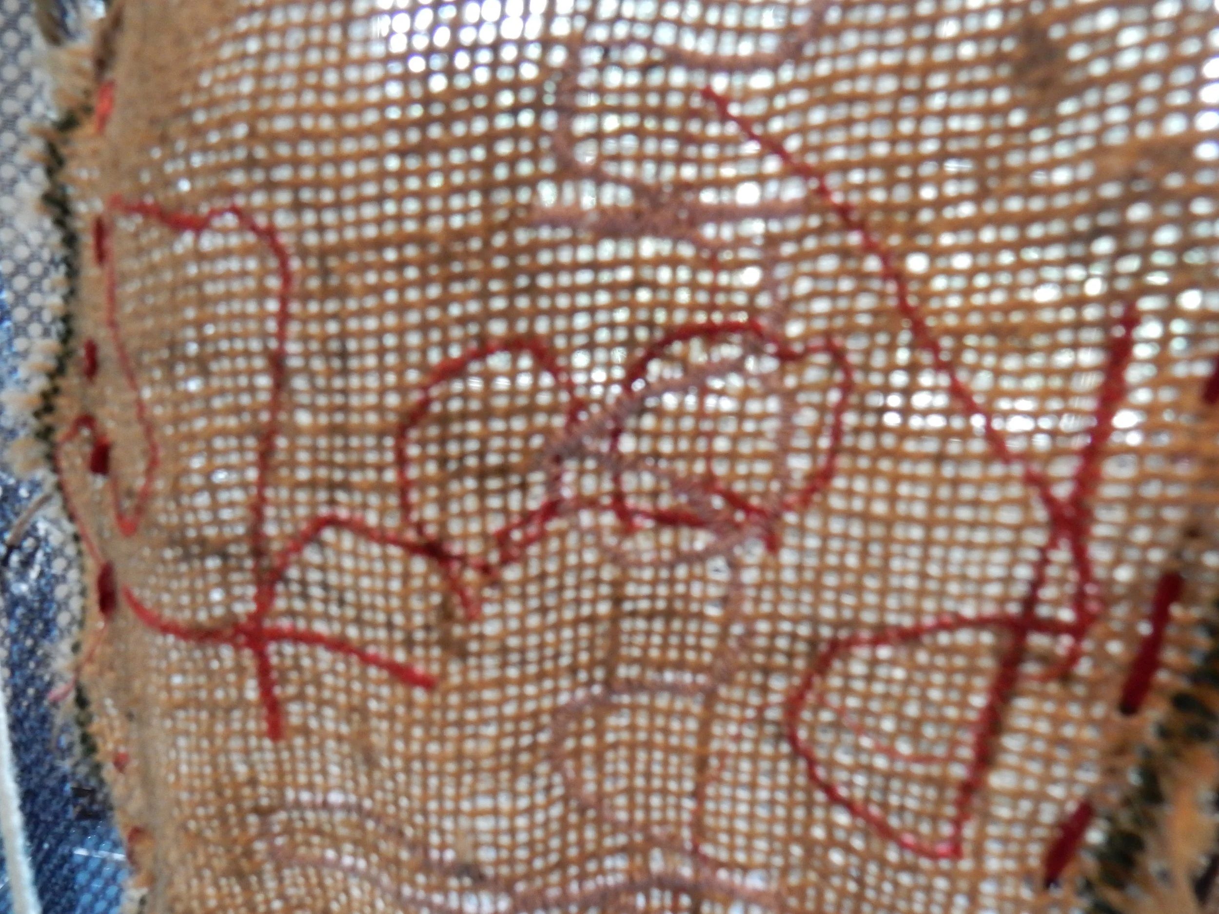 DSCN1934.jpg