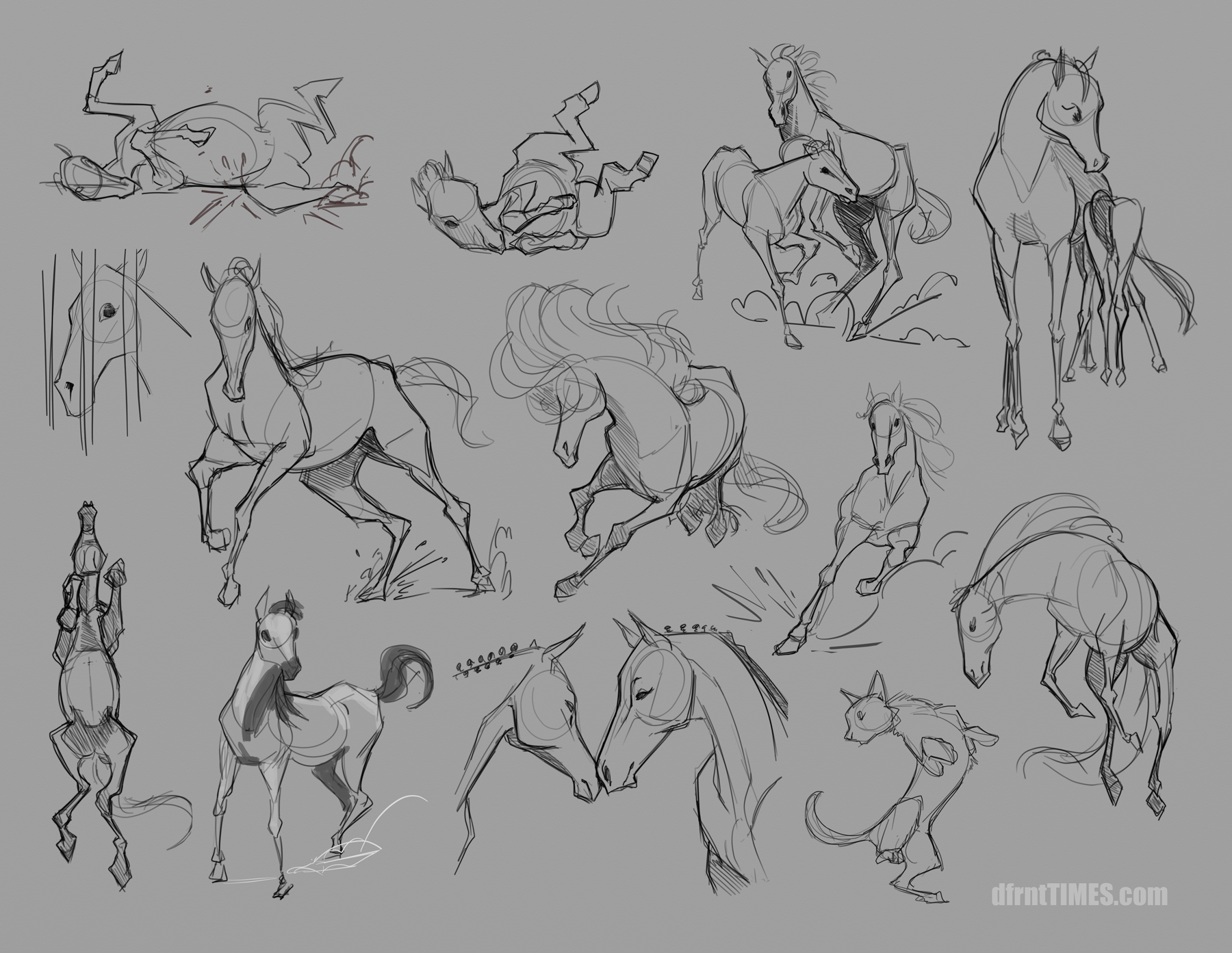 HorseStudy_dfrntTIMES.png