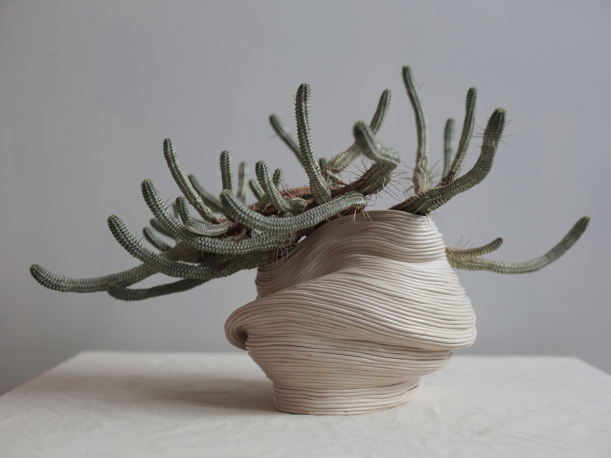   Vessel with outstretched arms, &nbsp;2016.&nbsp;  Ceramic with Euphorbia Mammillaris variegata 