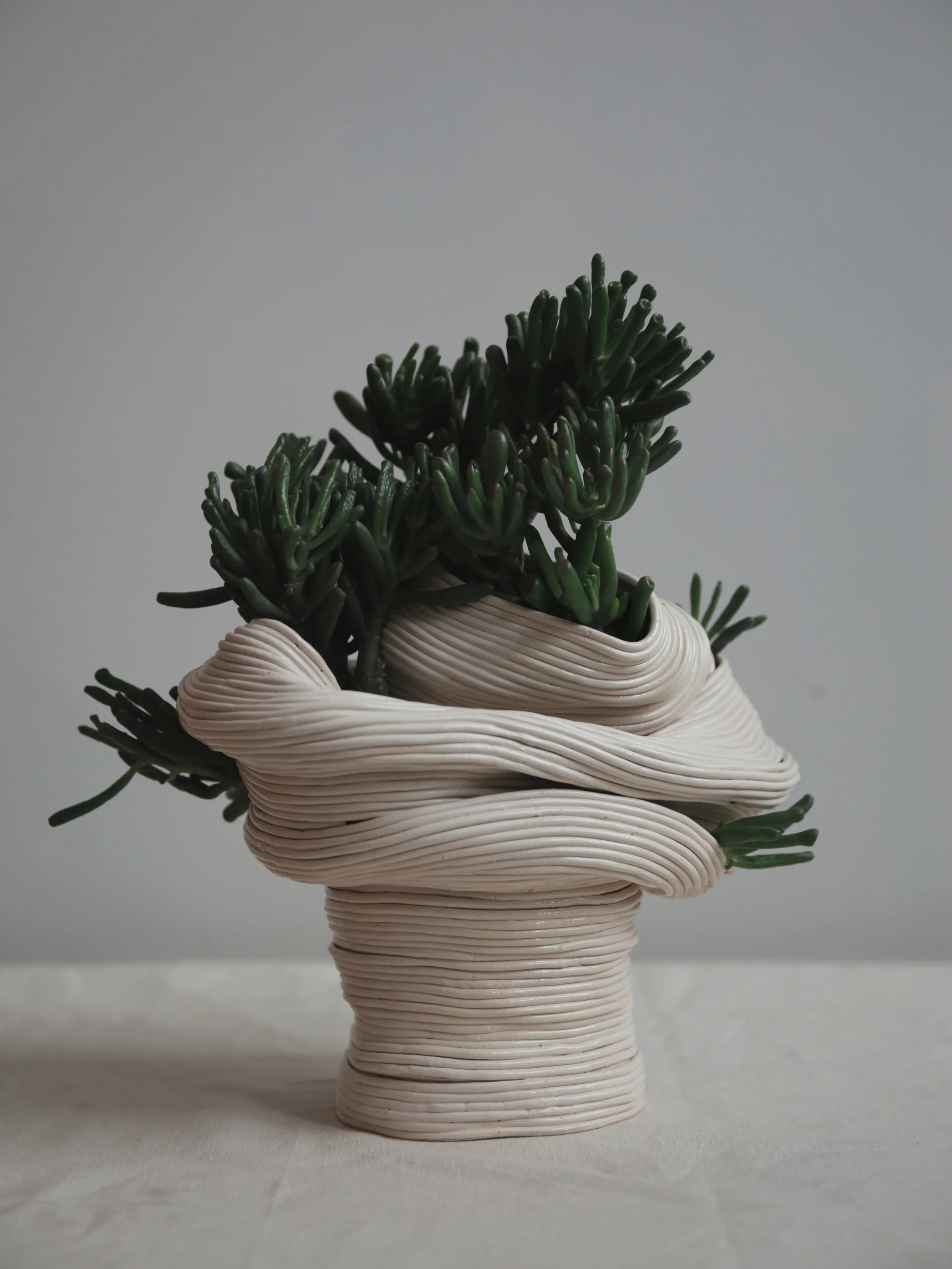 Standing vessel with twisted torso , 2016 Ceramic with Crassula Gollum