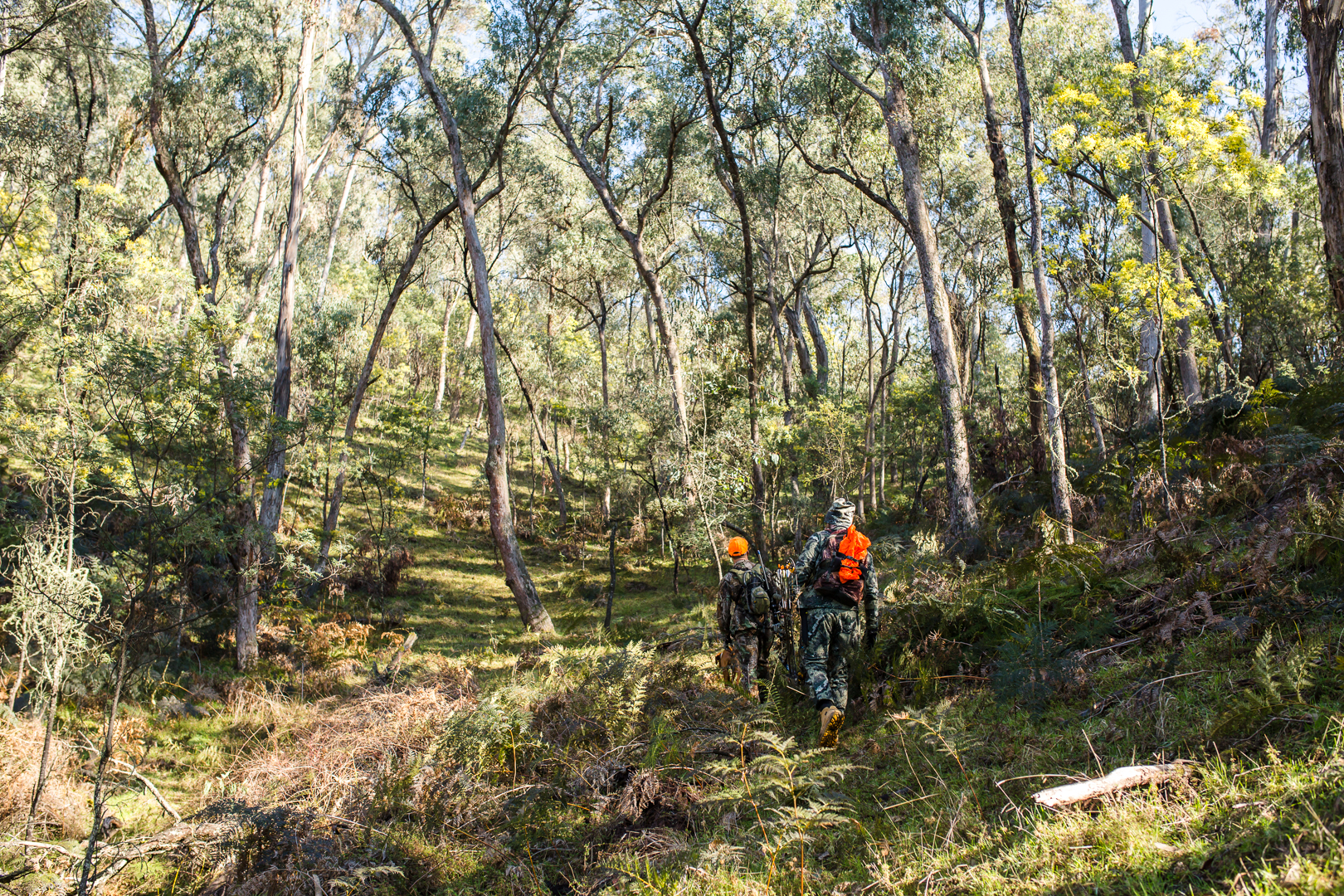 Sambar Hunt Toz&Heath-32.jpg