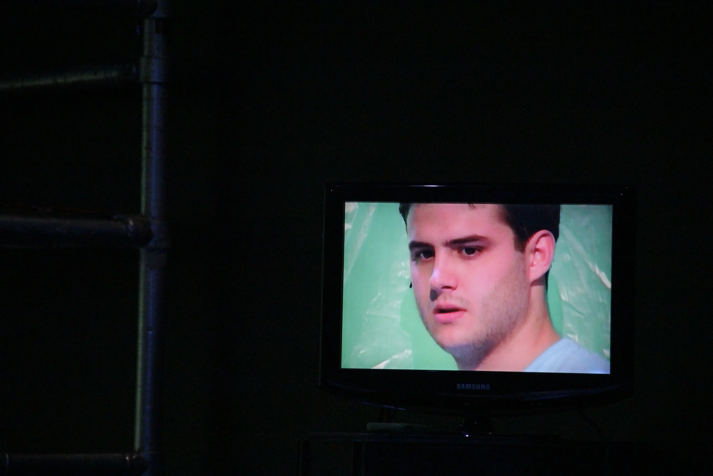  True Love by Chuck Mee.  Based on Euripides' Hippolytus and Racine's Phaedra—but placed in America's trailer trash world, in which Phaedra does not restrain herself from sleeping with her fourteen year old stepson, and all the townspeople sit around