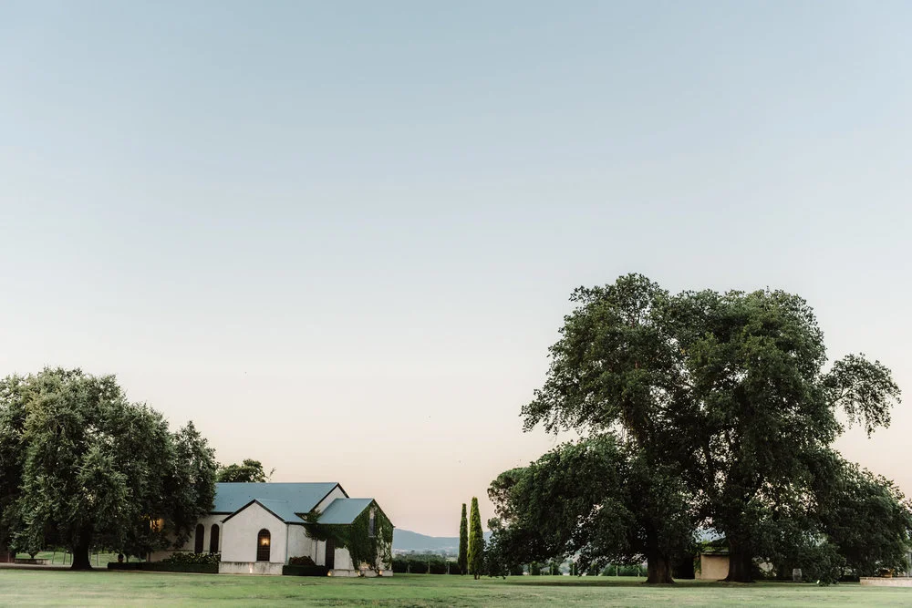 Stones of the Yarra valley – Photo: Katie Harmsworth