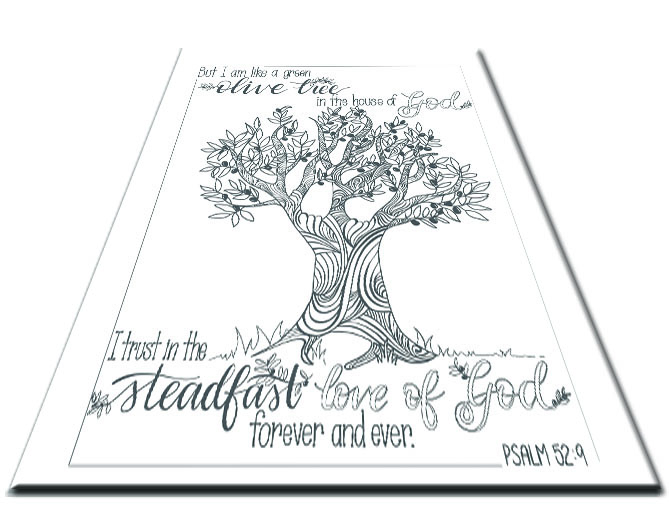 Olive Tree