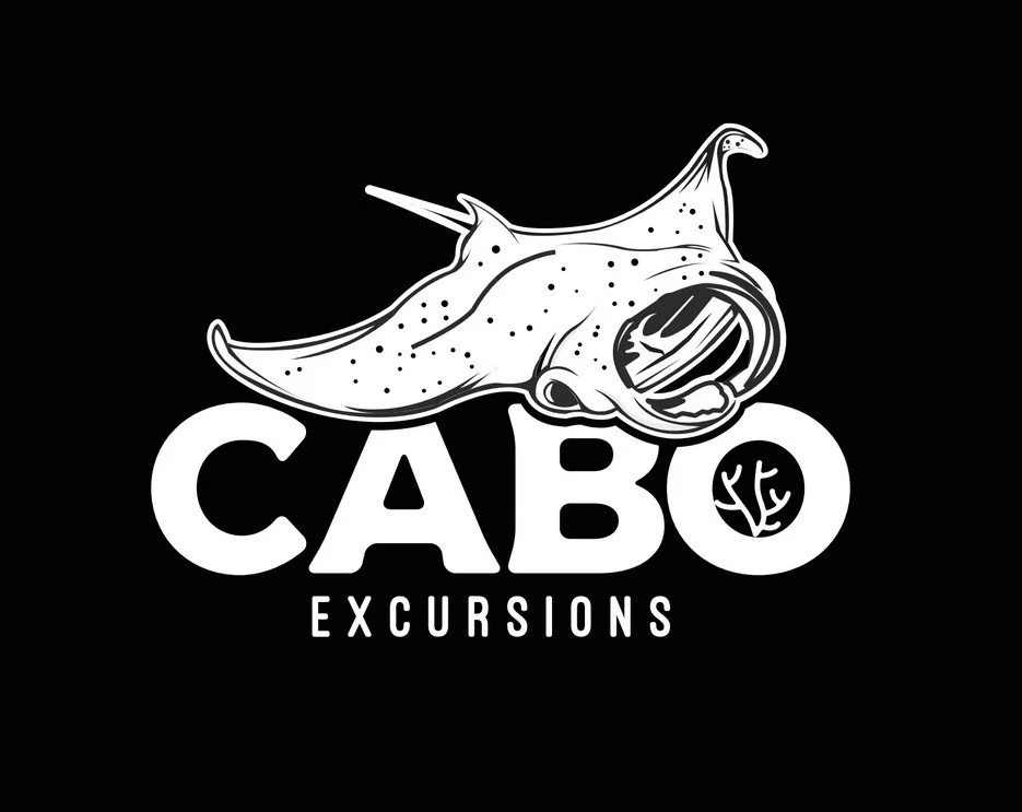 cabo excusrions 