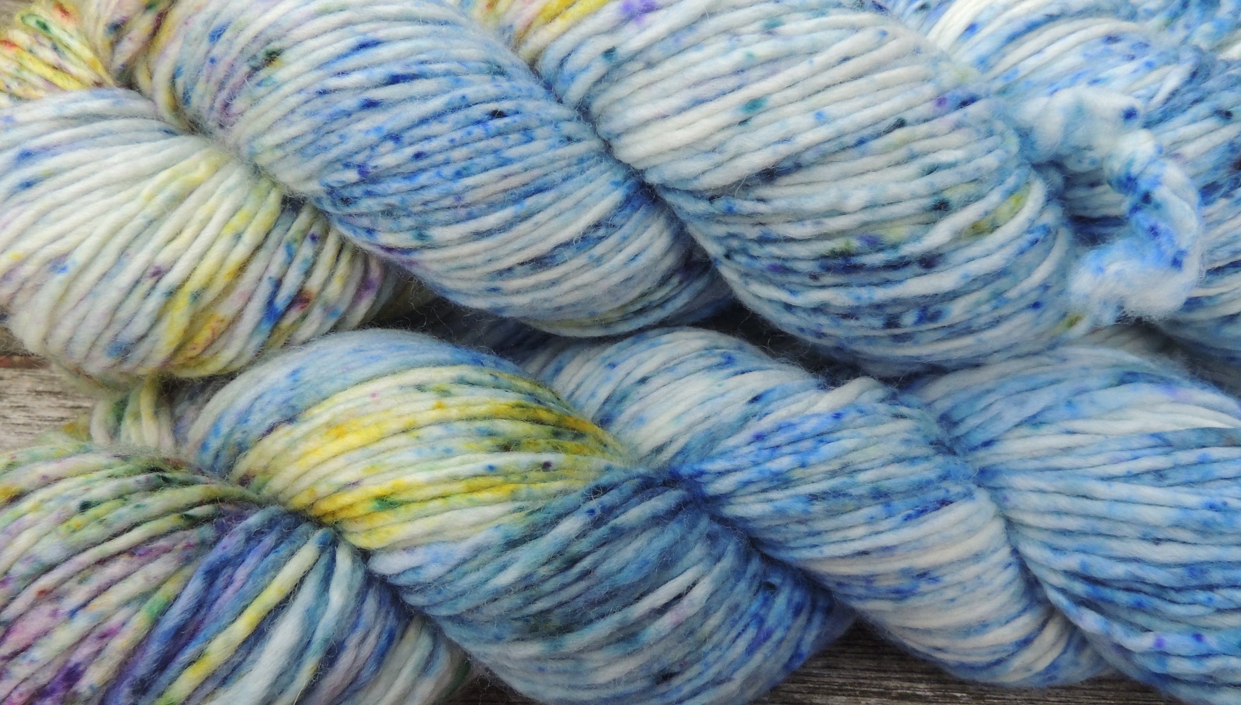 Goldeneye on Hand Dyed Polwarth wool DK yarn - 100 g
