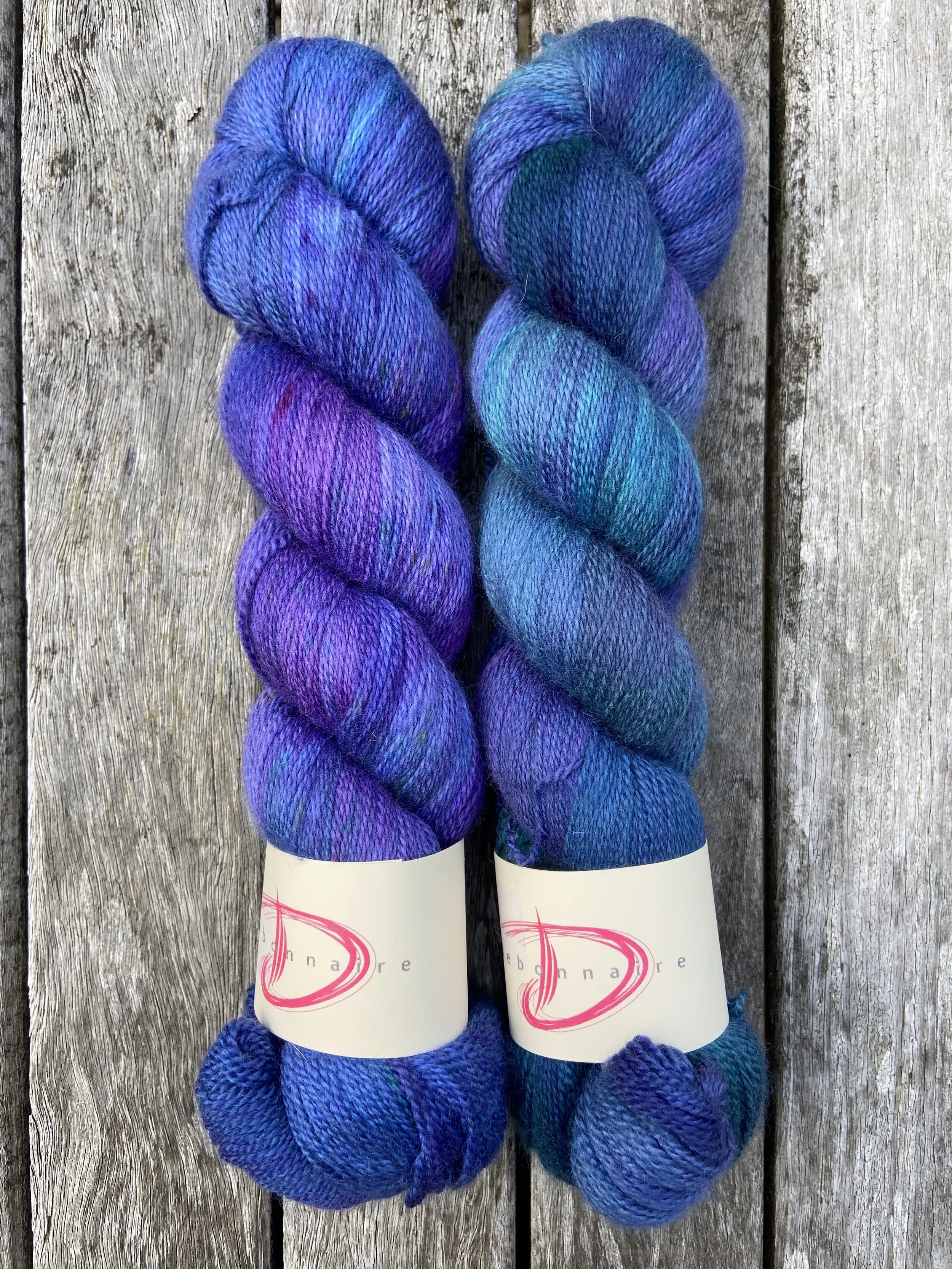 Monarch Fat lace violet garden