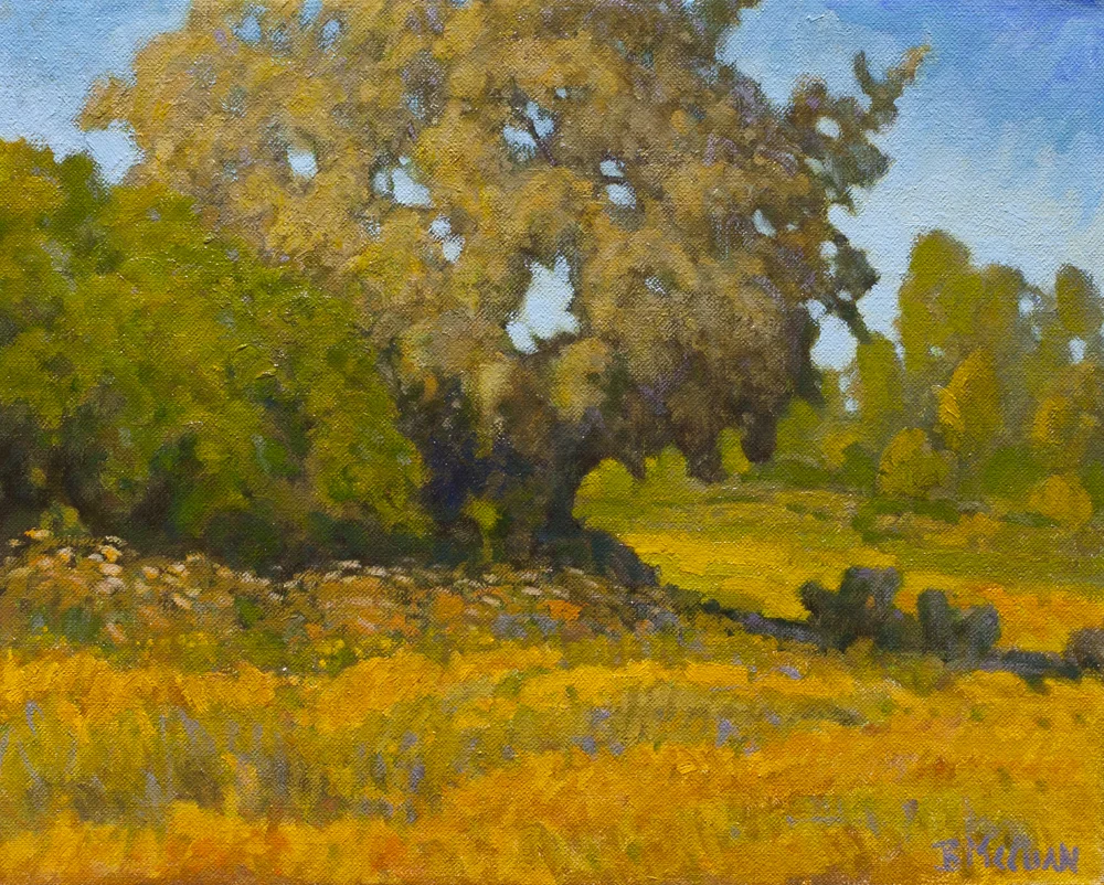 West of Low Gate Lane