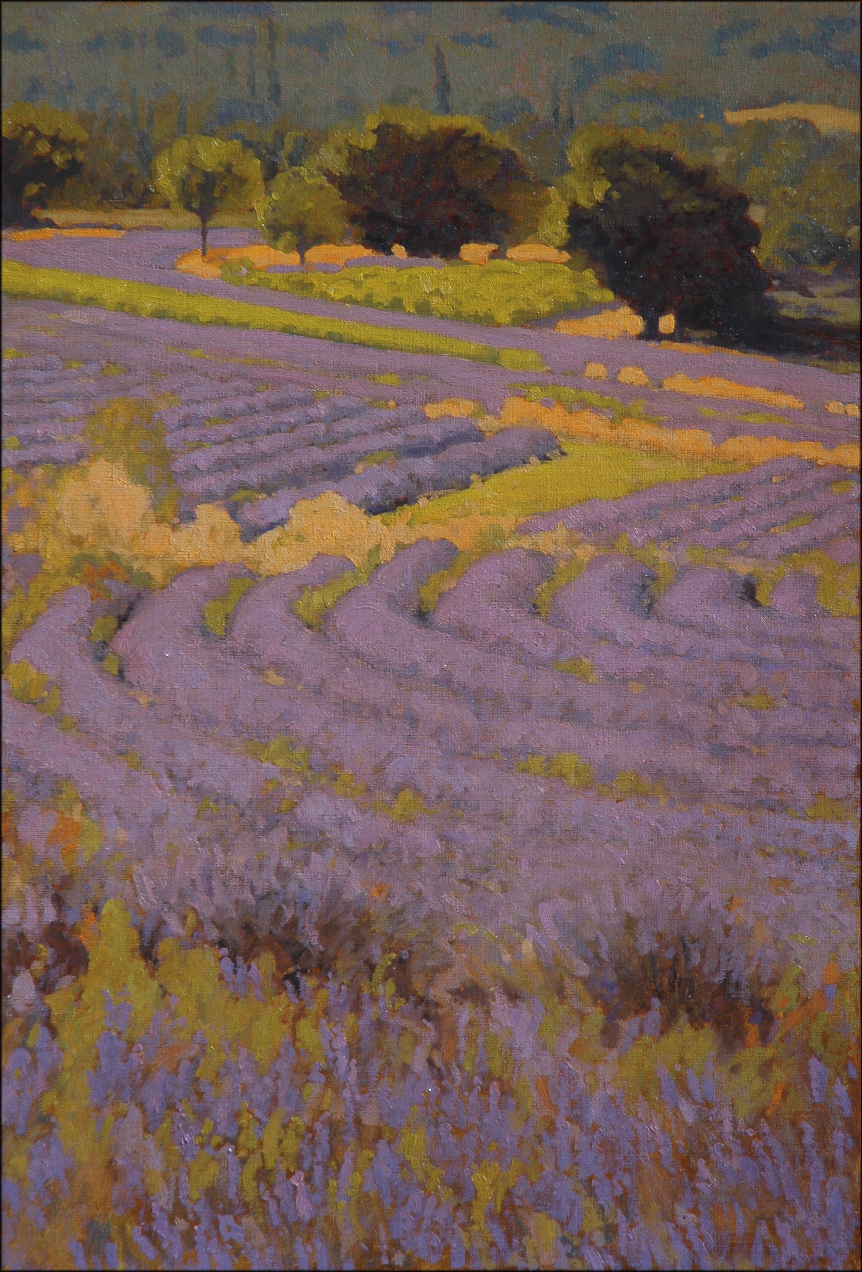 Lavender Patchwork 36 x 24o-l.jpg