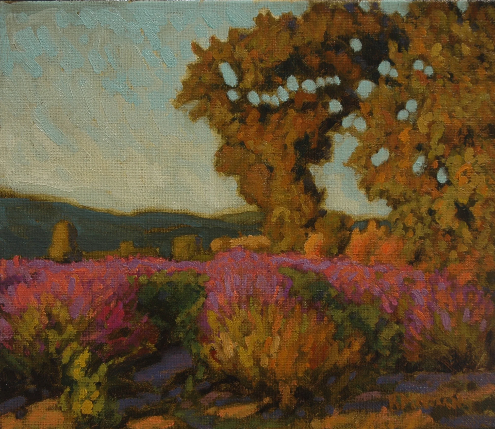 Lavender Sunset 12 x 14 o-l_2.jpg