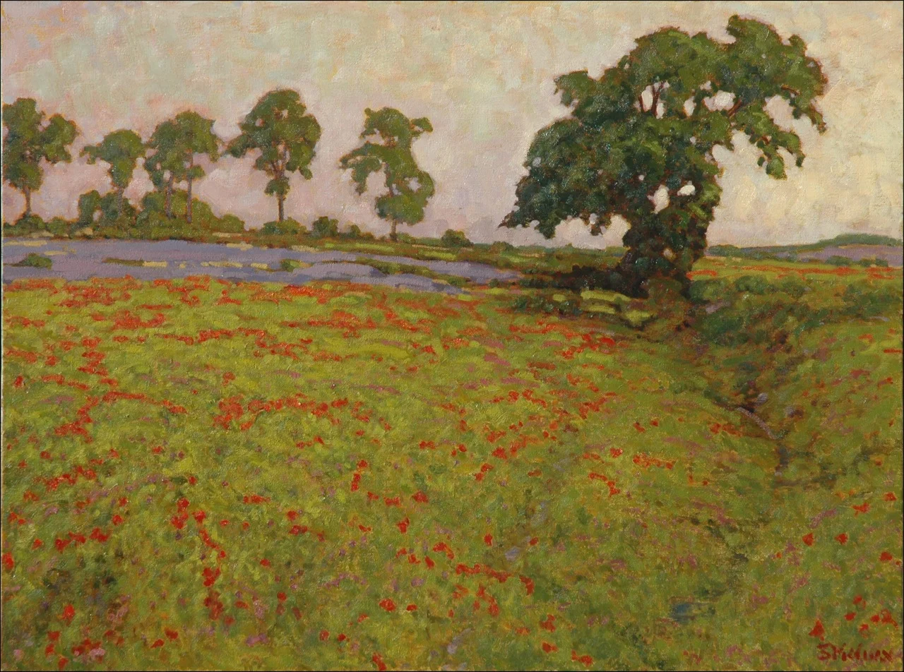Poppies at Dusk