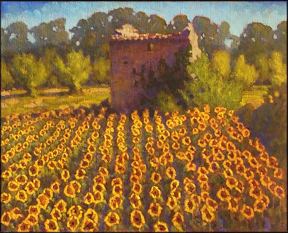 Across The Rhone From Avignon