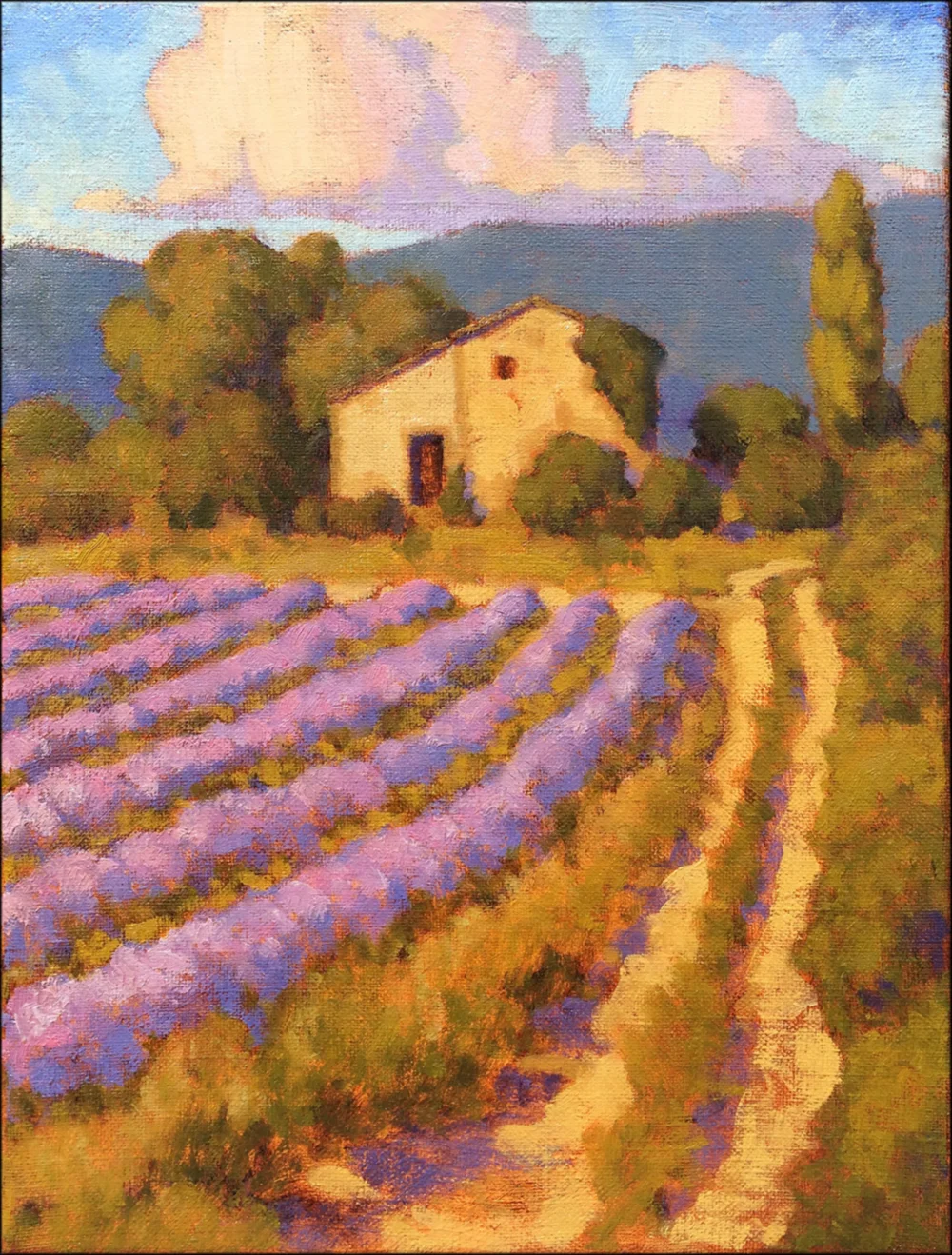 Lavender Afternoon On The Vaucluse