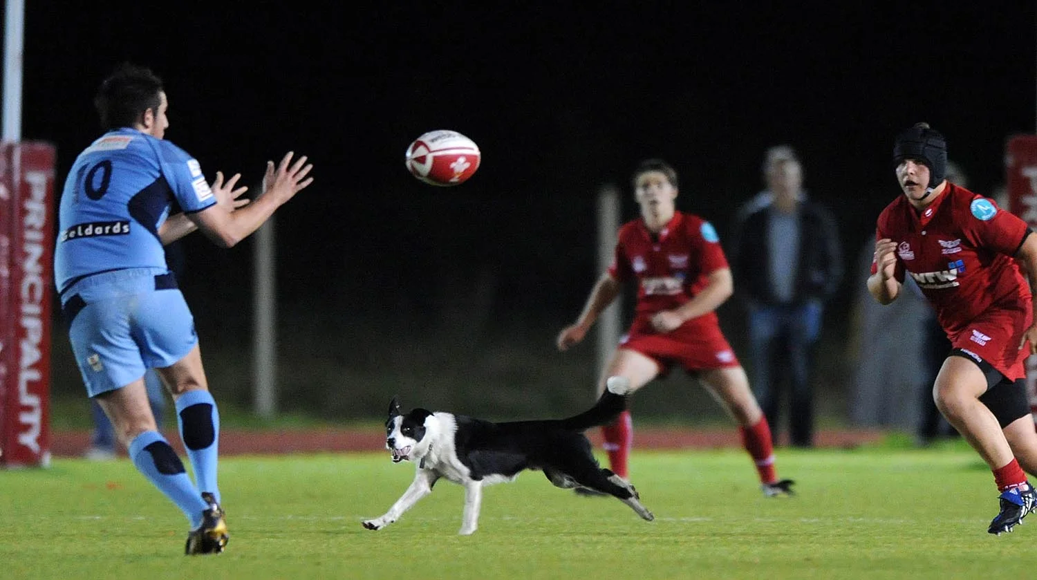 A dog invades the pitch during an U16 match