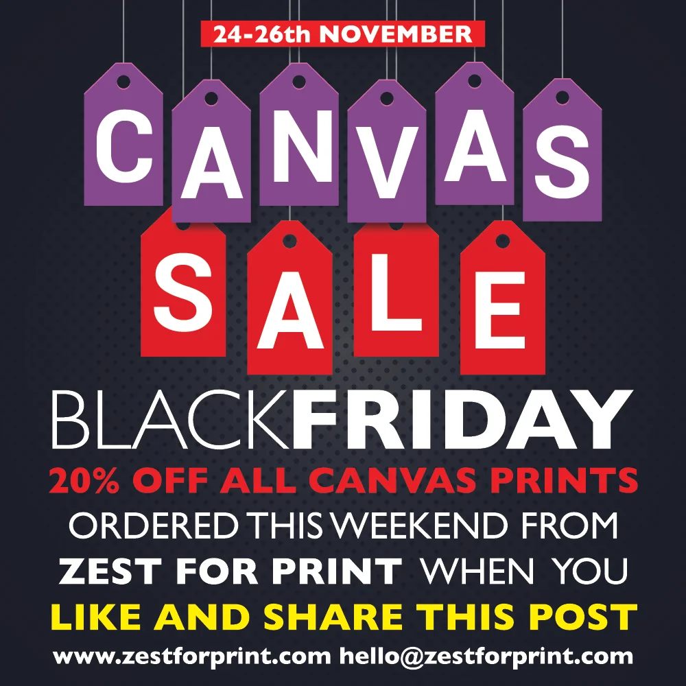 Zest black friday canvas sale.jpg