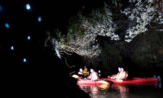 Kayaks, Campfires & Glowworms