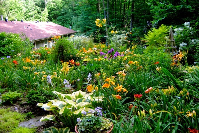 Gardens of The Waikato Tour