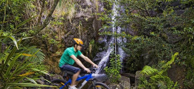Cycle Trails Waikato