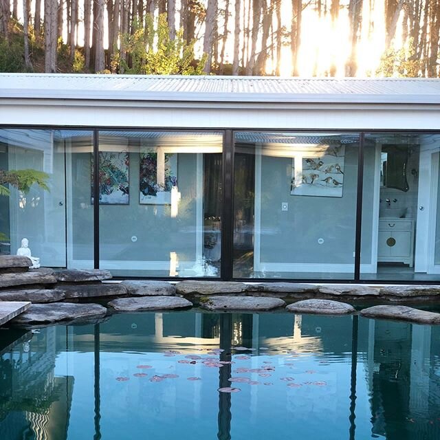 We are finally getting going again and I’m super excited! We have all been through so much and now it’s time to emerge !
Our Winter fireside Yin classes begin again on Sunday June 28!
Time: Sunday 3-4:30 pm 
Cost: $25 per class 
This is