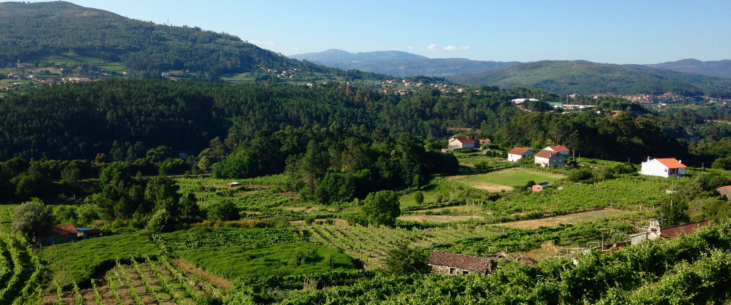 Soalheiro Winery, Melgaço, Portugal