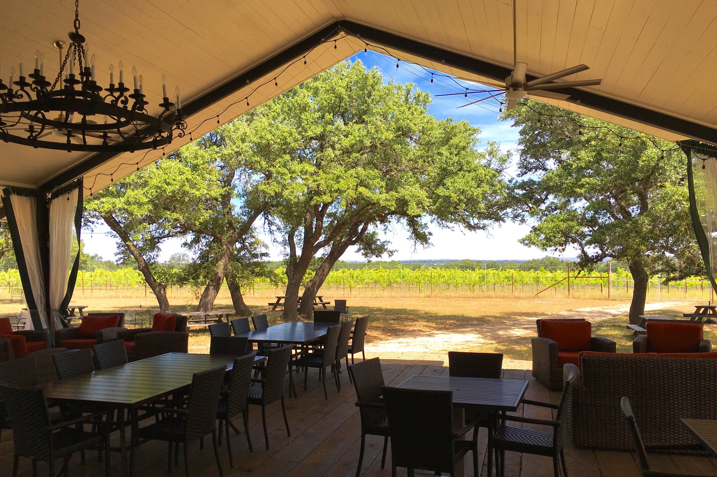 Lewis Wines in Texas Hill Country