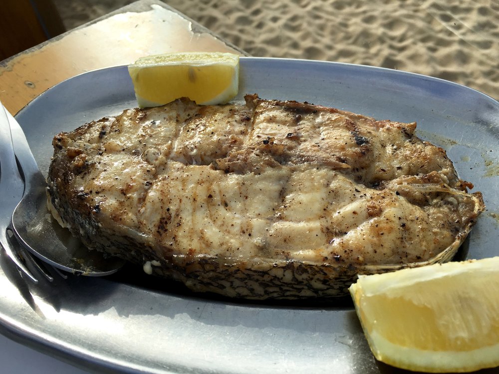 cherne (grouper)