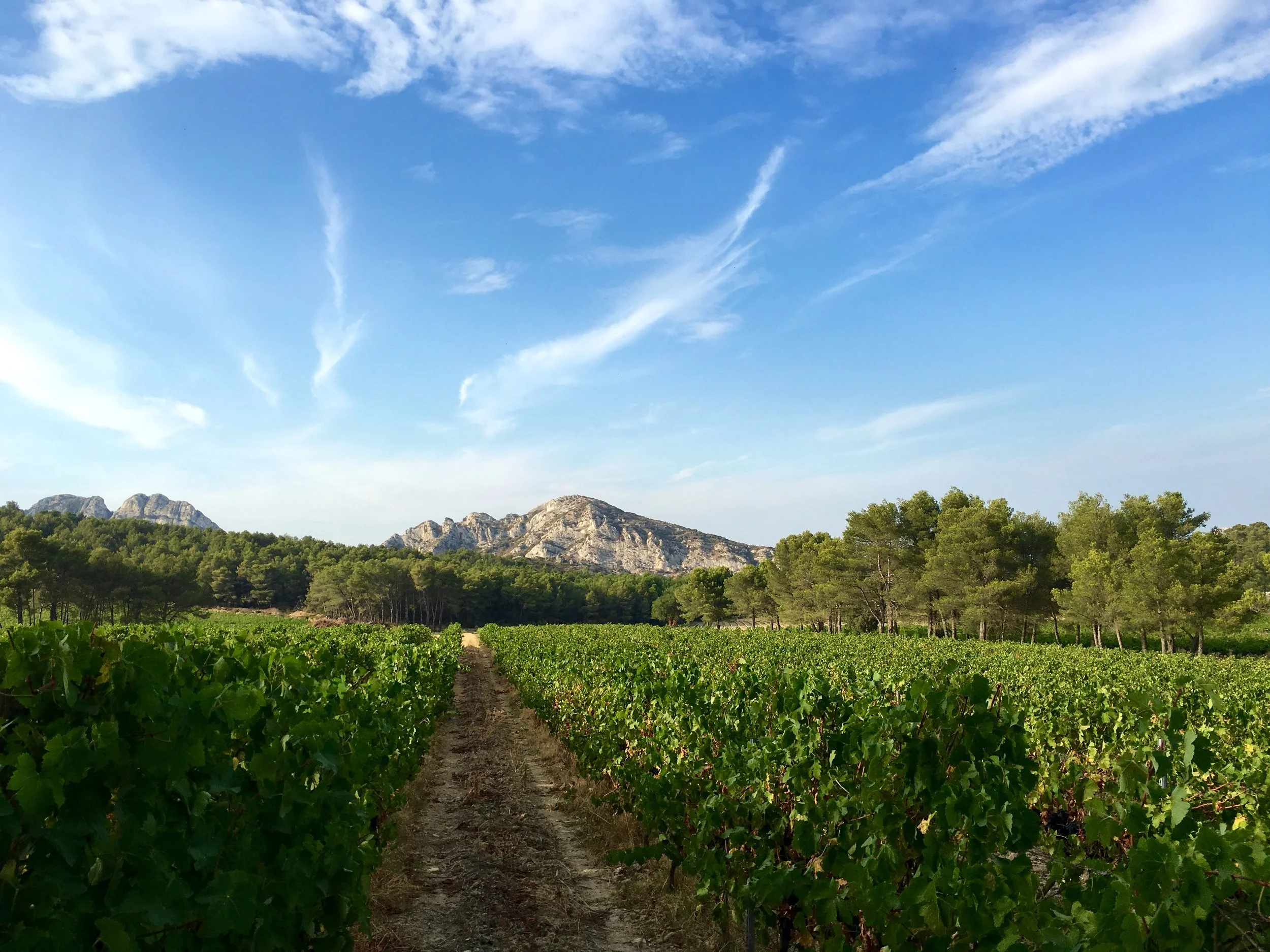 Les Alpilles, Provence