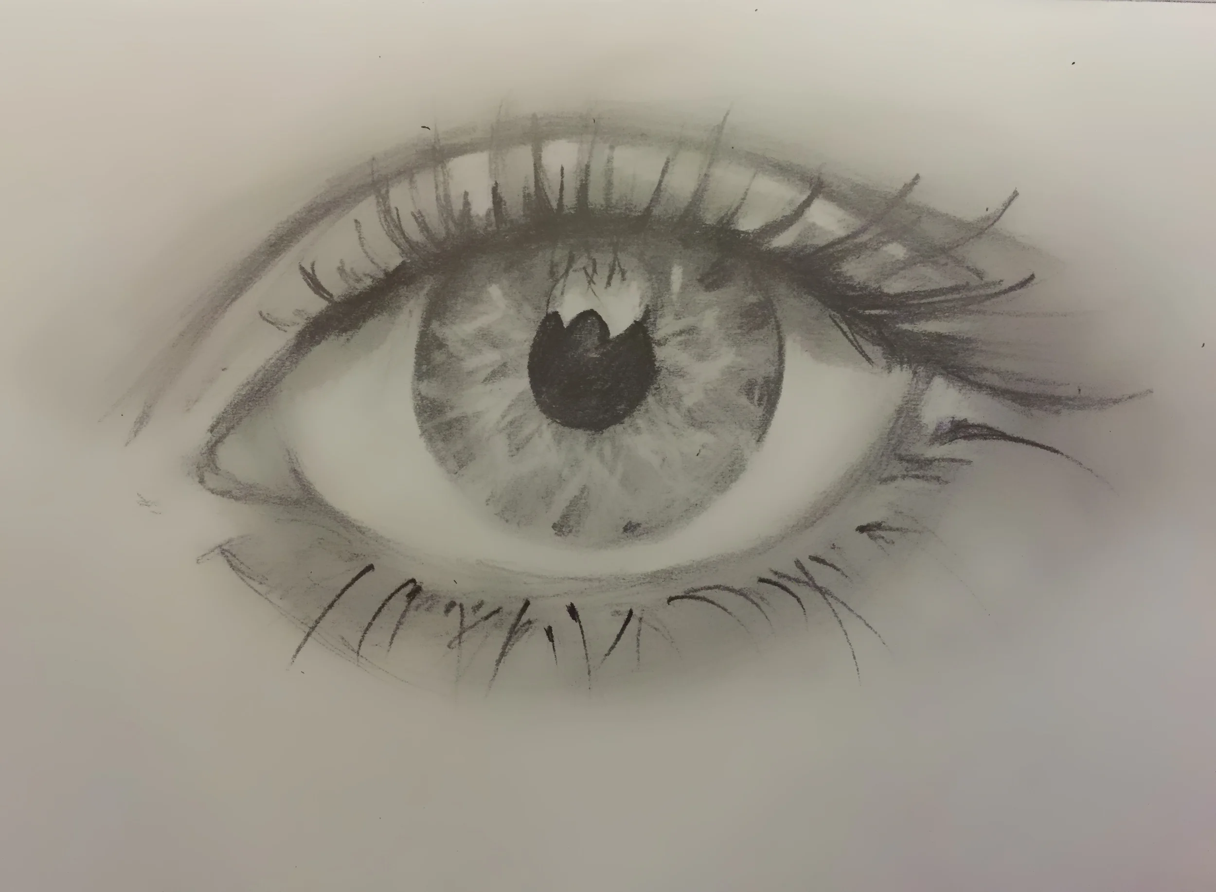 Eye Sketch