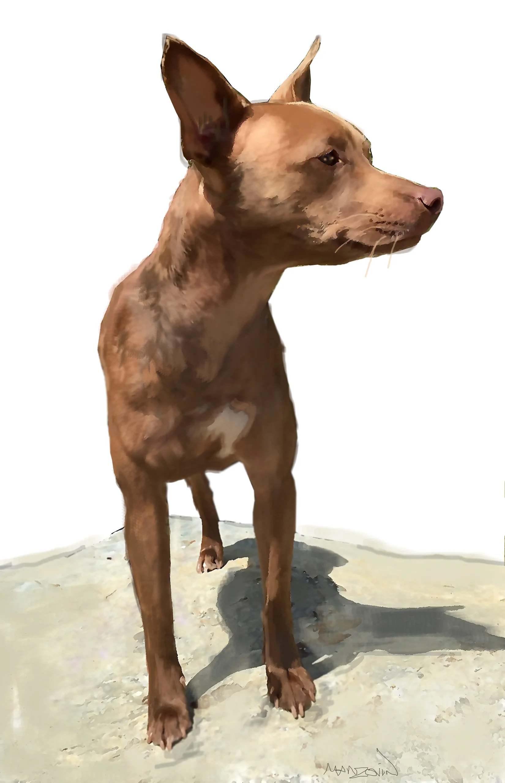 Sansa