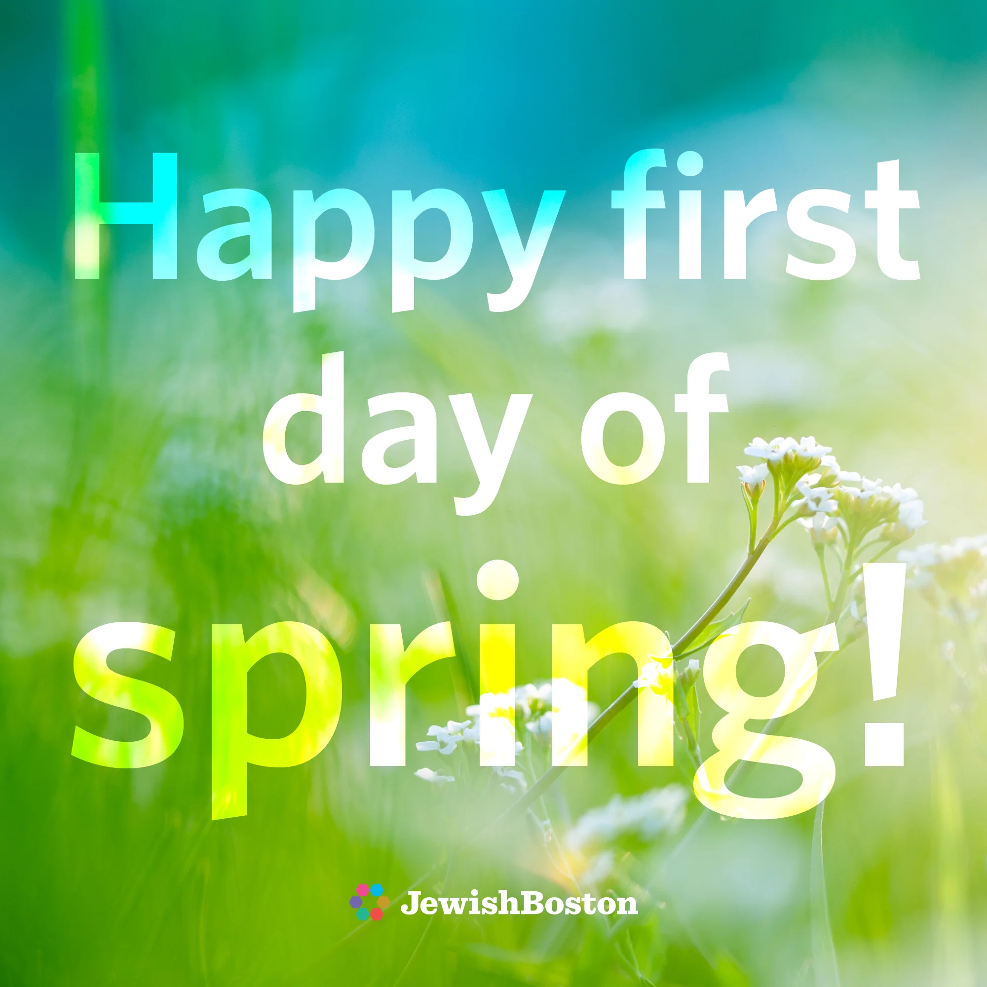 Spring Greetings