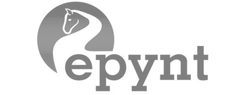 logo-epynt.png