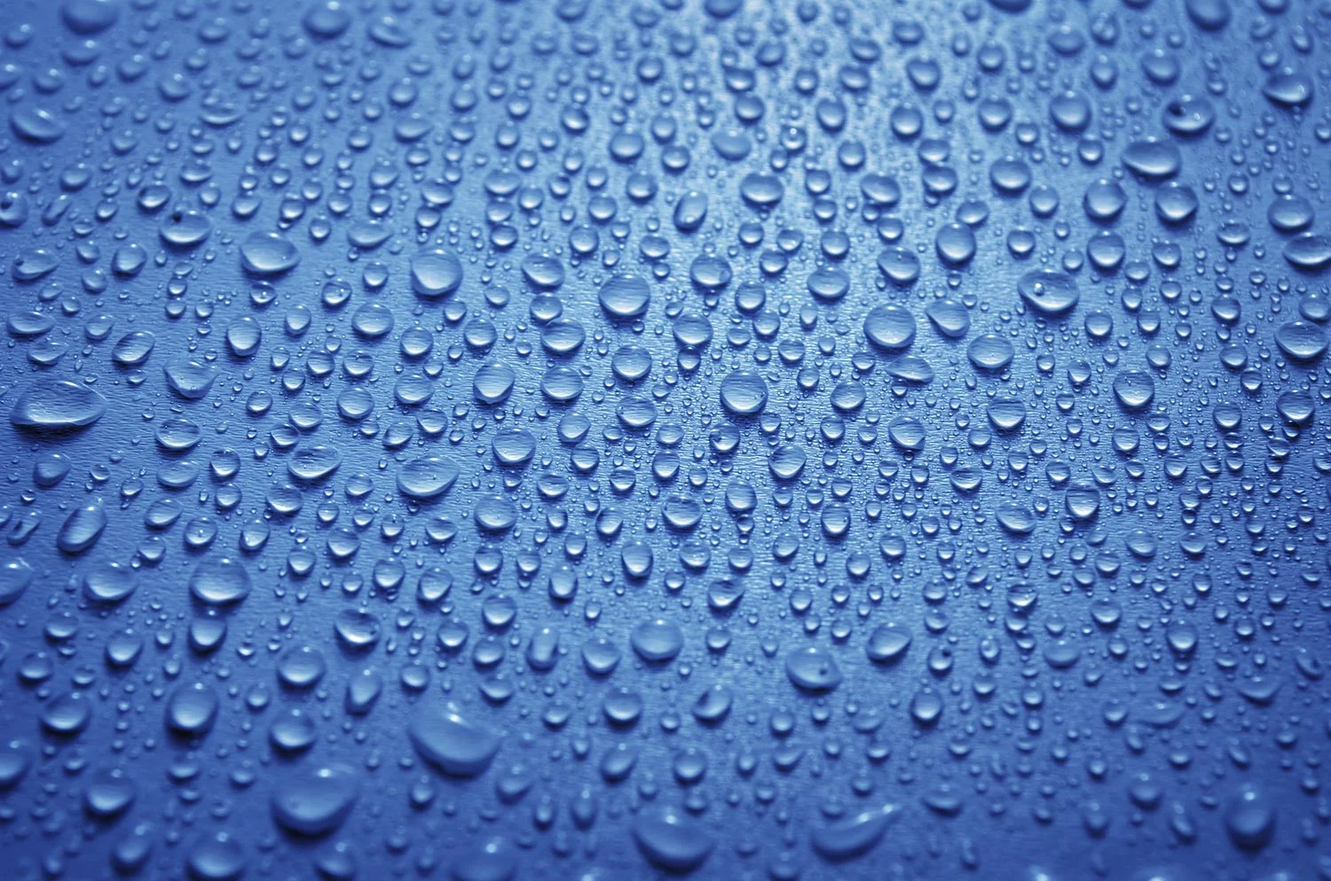 Zimmermann_Wasserschaeden.jpg