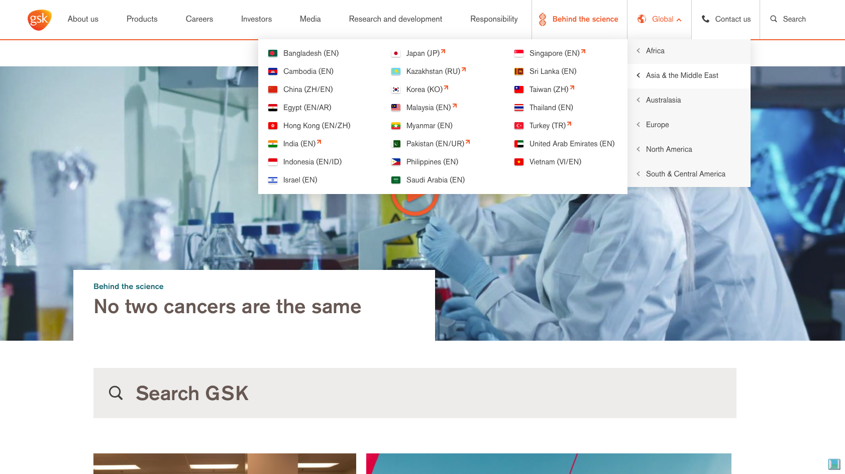 GSK's compact, multi-level country-sites menu works well as a hub for the company's country-based web estate. Social media signposts are conventionally handled, and the company has made some useful improvements in relation to country-based social signposts.