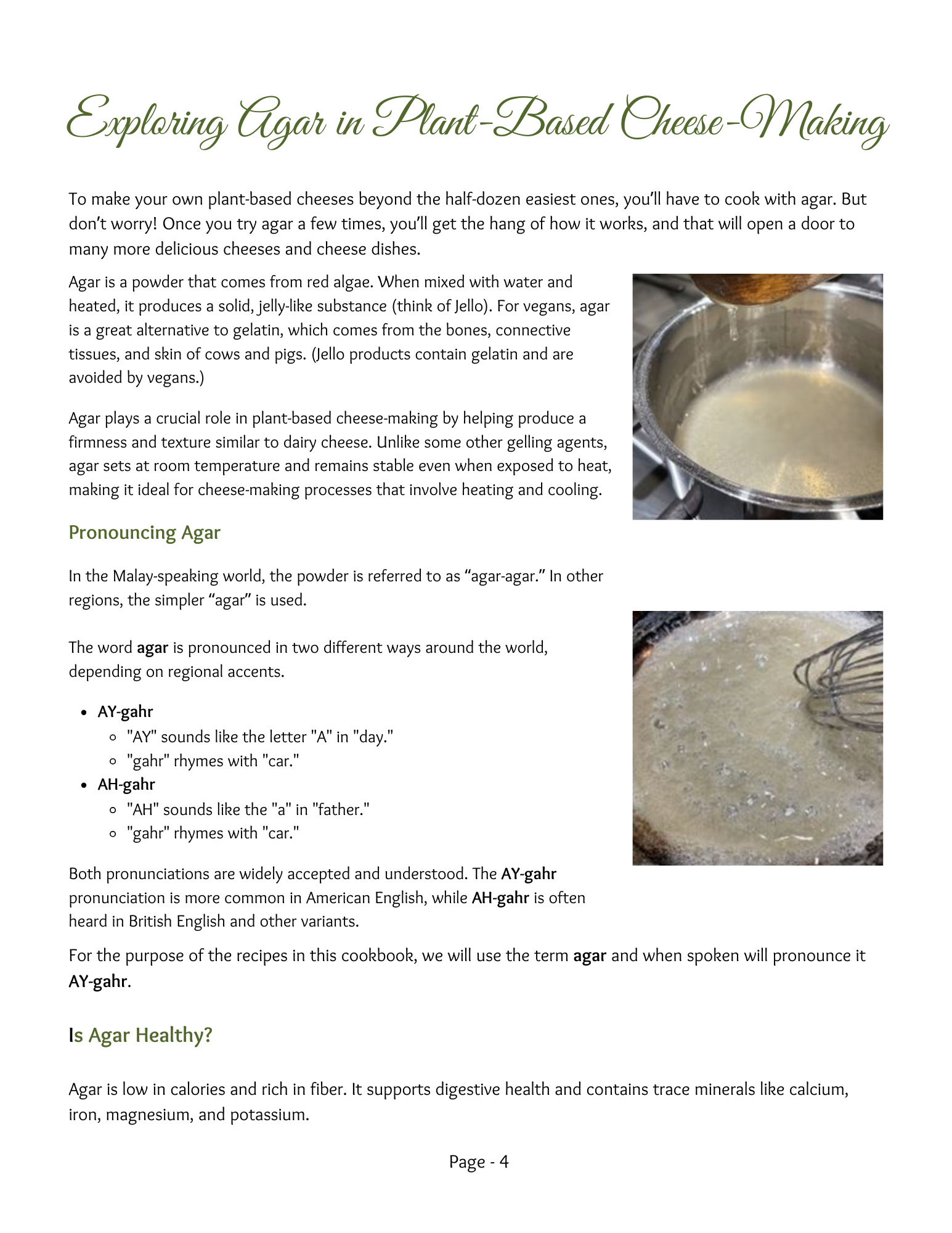 P1 Exploring Agar in Plant-Based Cheese Making.png