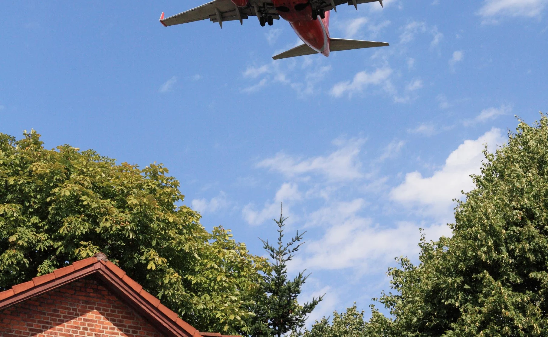 Weber Woods & Aviation Noise