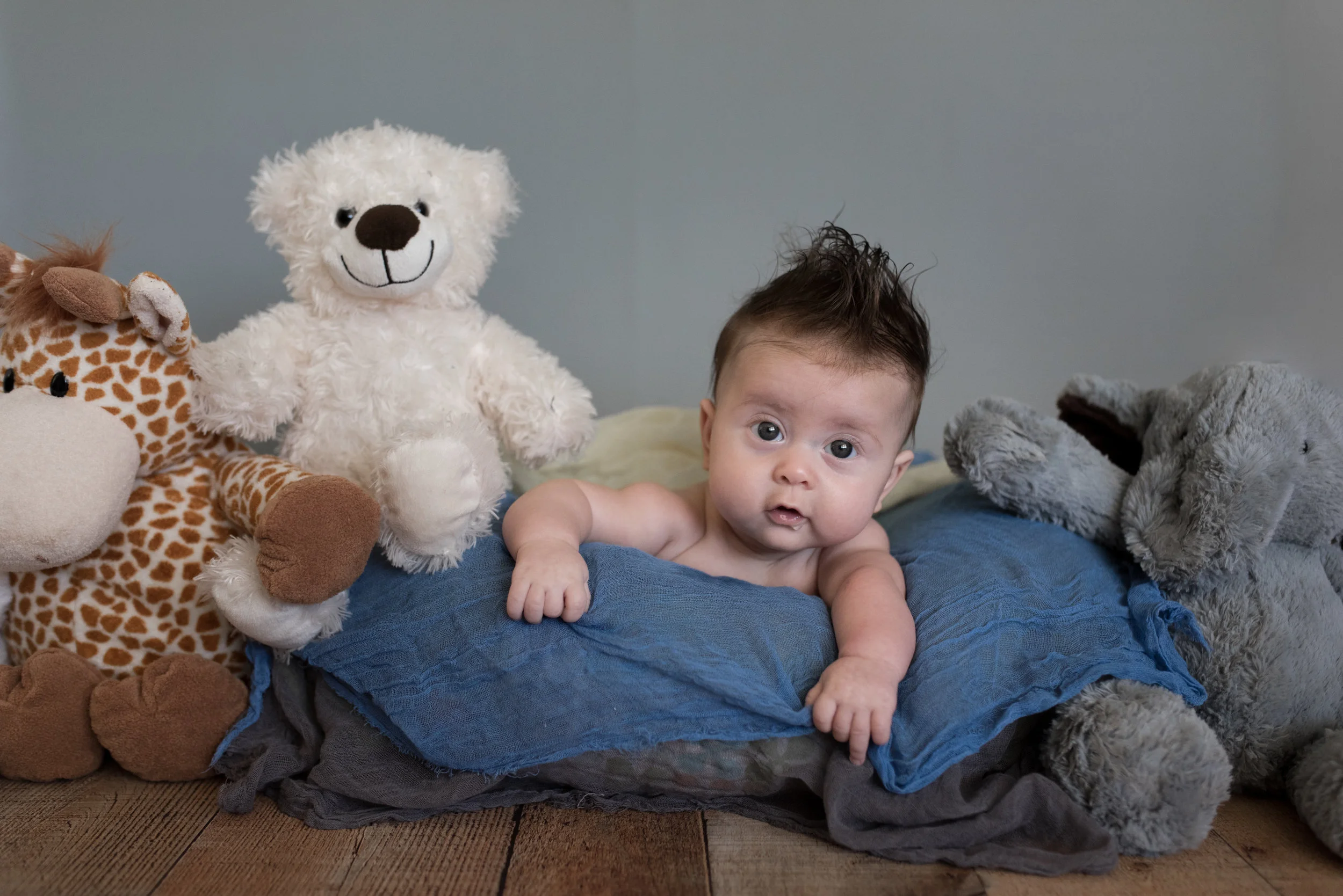 Carter | Children Portraiture