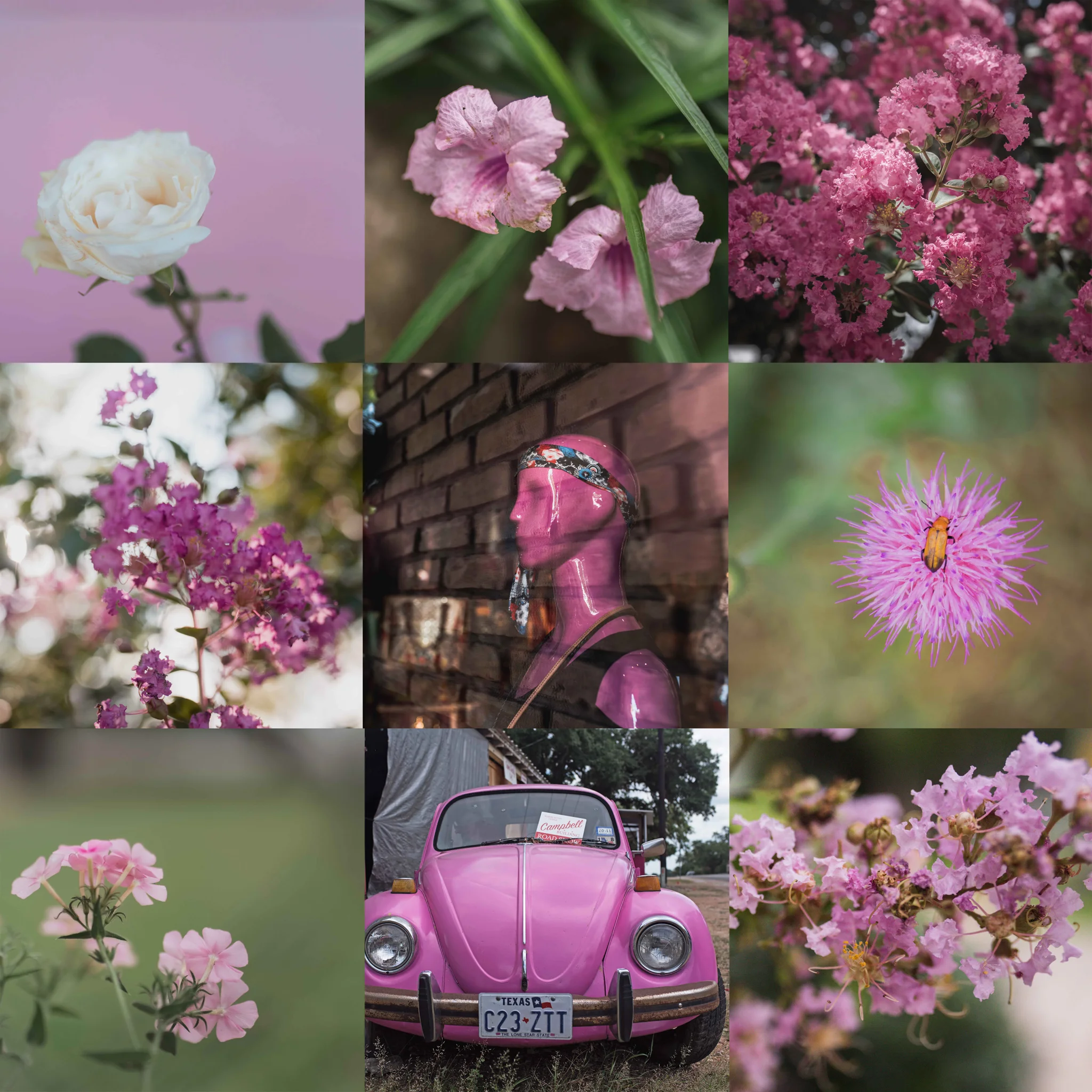 May Color Challenge | Personal Post