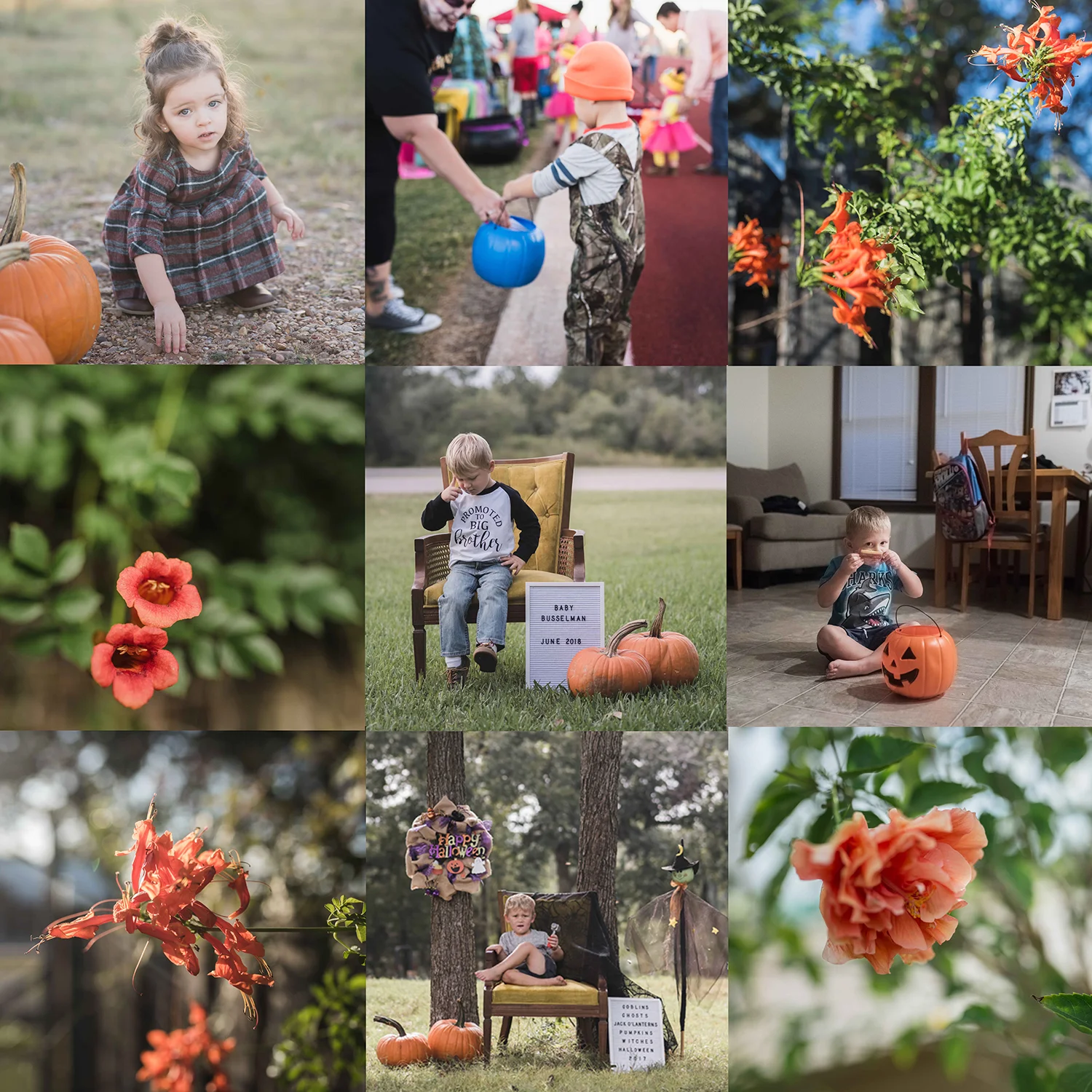 October Color Challenge | Personal Project