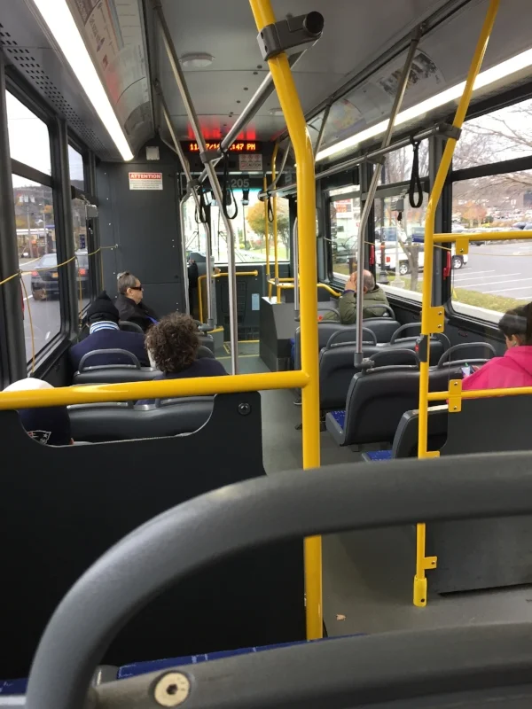 Round and Round, All Through the Town