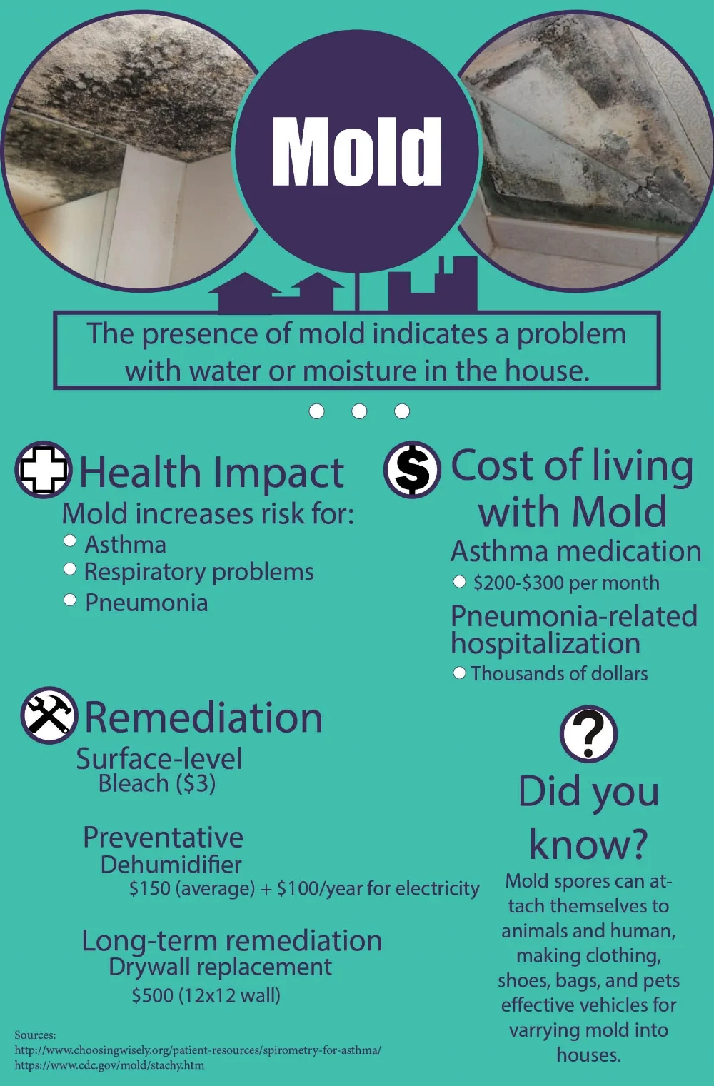 HH101 Mold.jpg